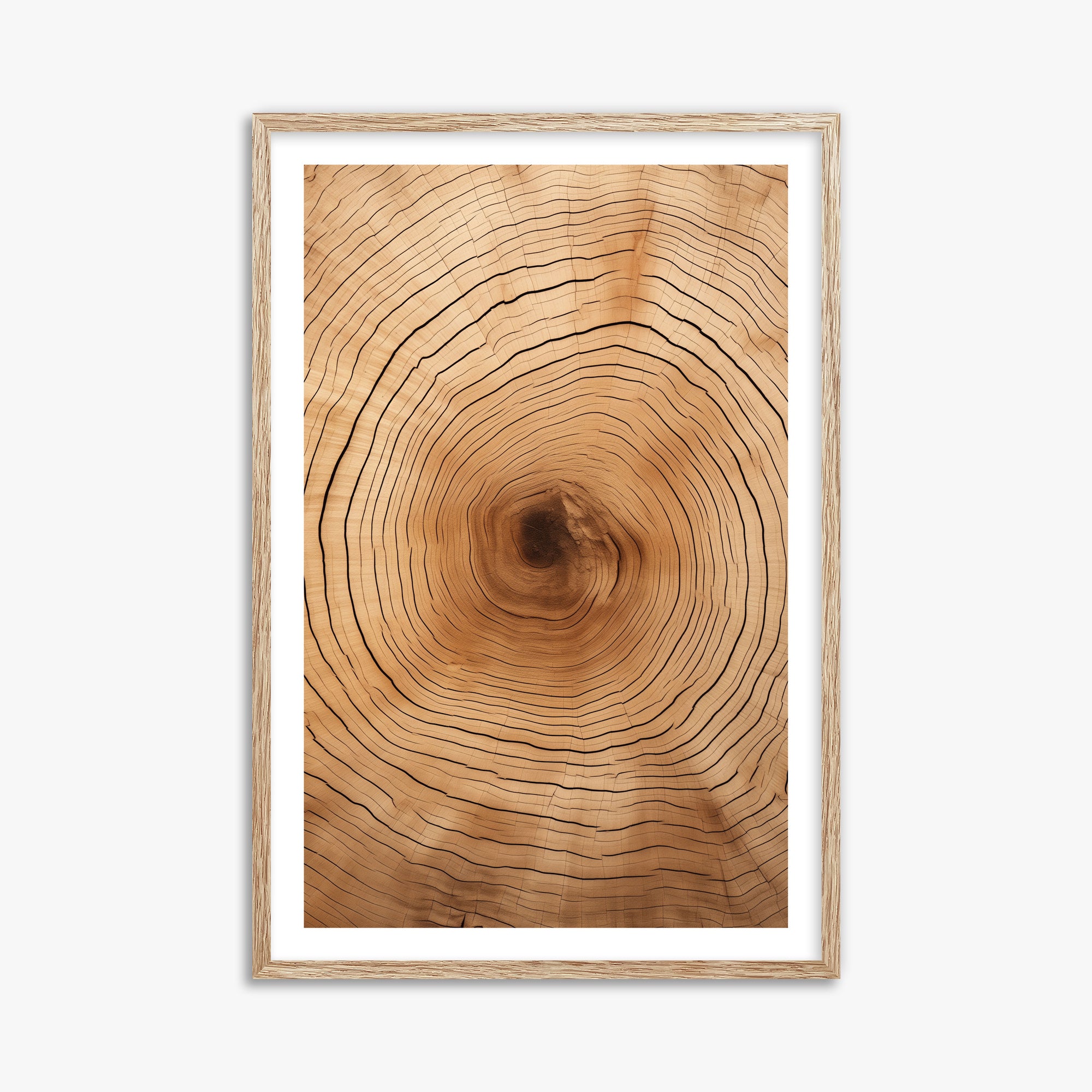 Time Rings, 61x91cm Framed Art Reproduction With Raw Oak Frame