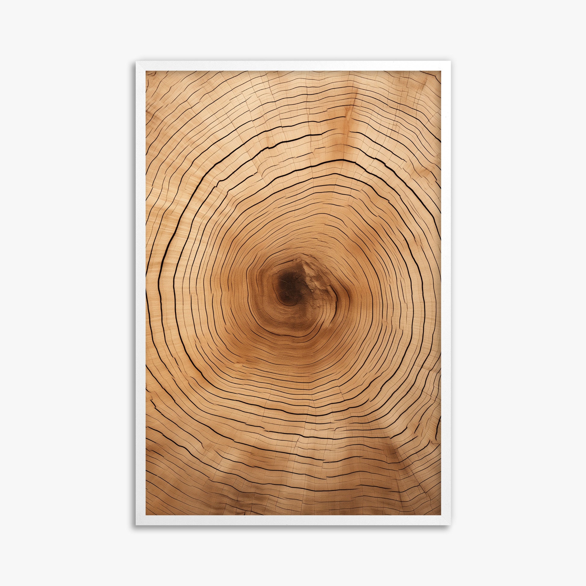 Time Rings, 61x91cm Framed Poster With White Frame