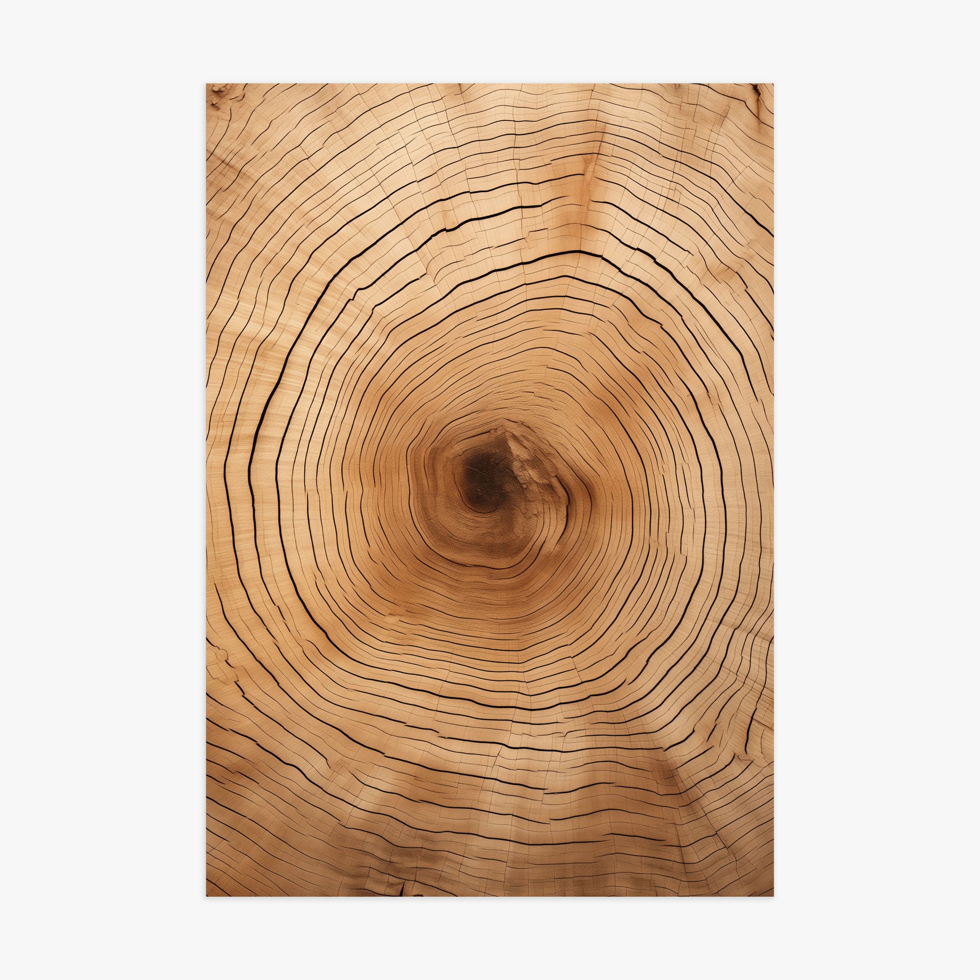 Time Rings, 70x100cm Poster Unframed