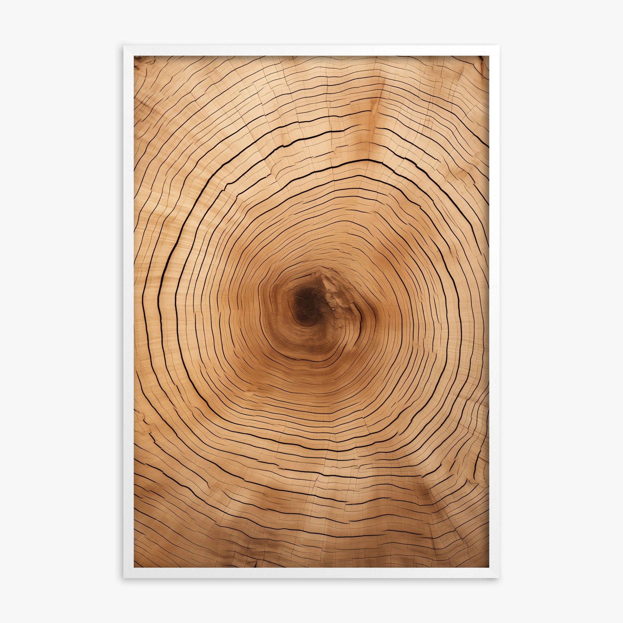 Time Rings, White Framed Poster With White Frame