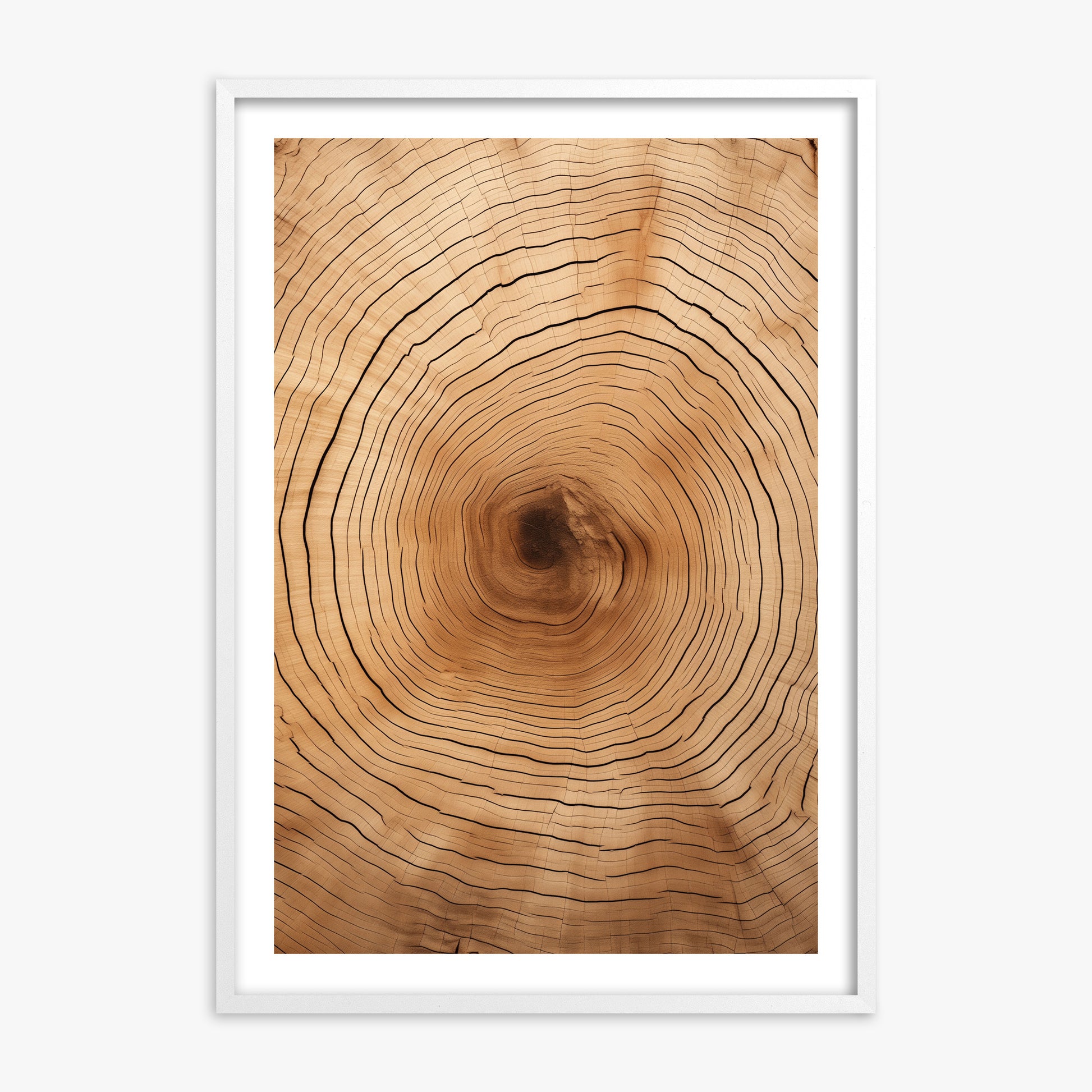 Time Rings, White Framed Poster With White Frame