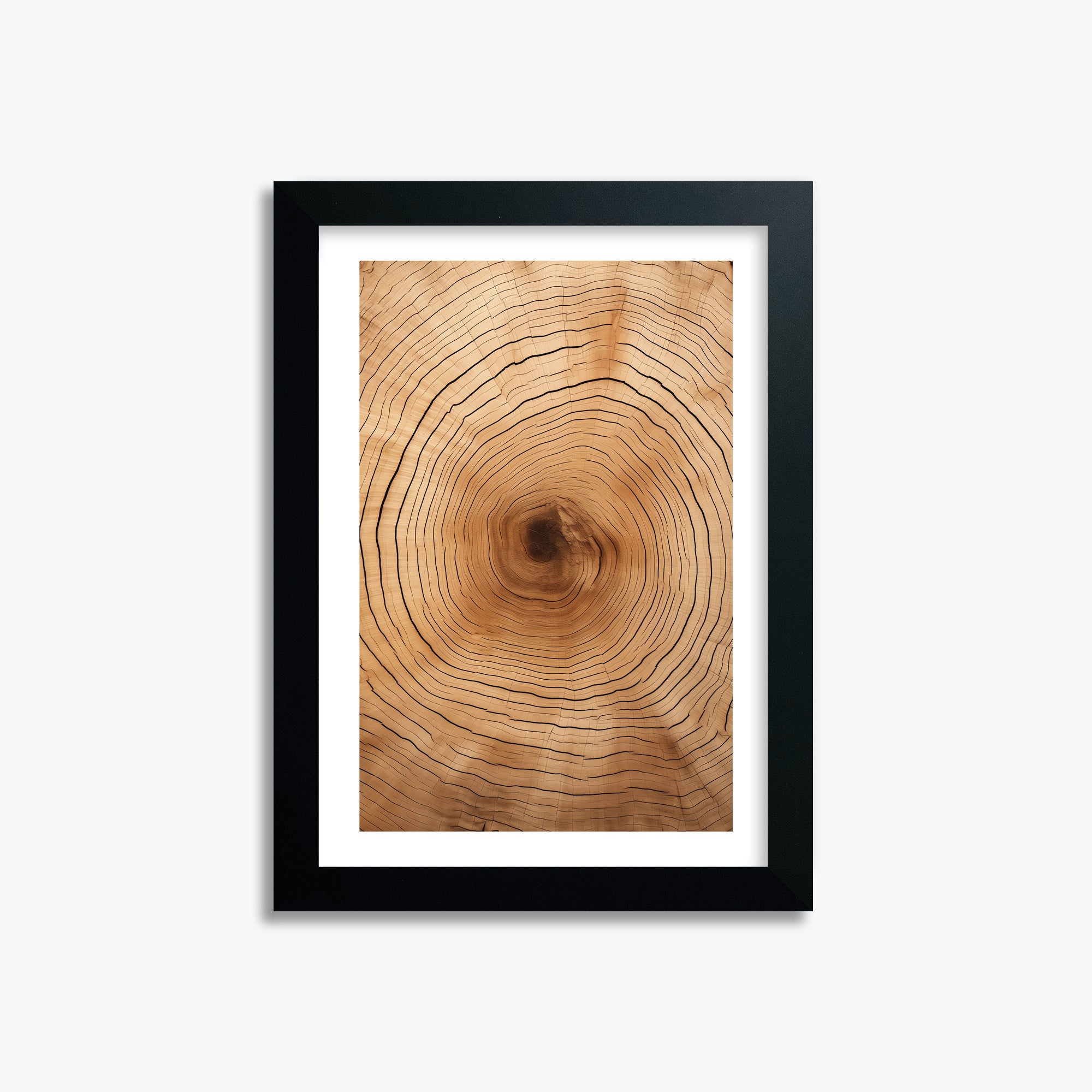 Time Rings, 21x30cm Black Framed Art Reproduction