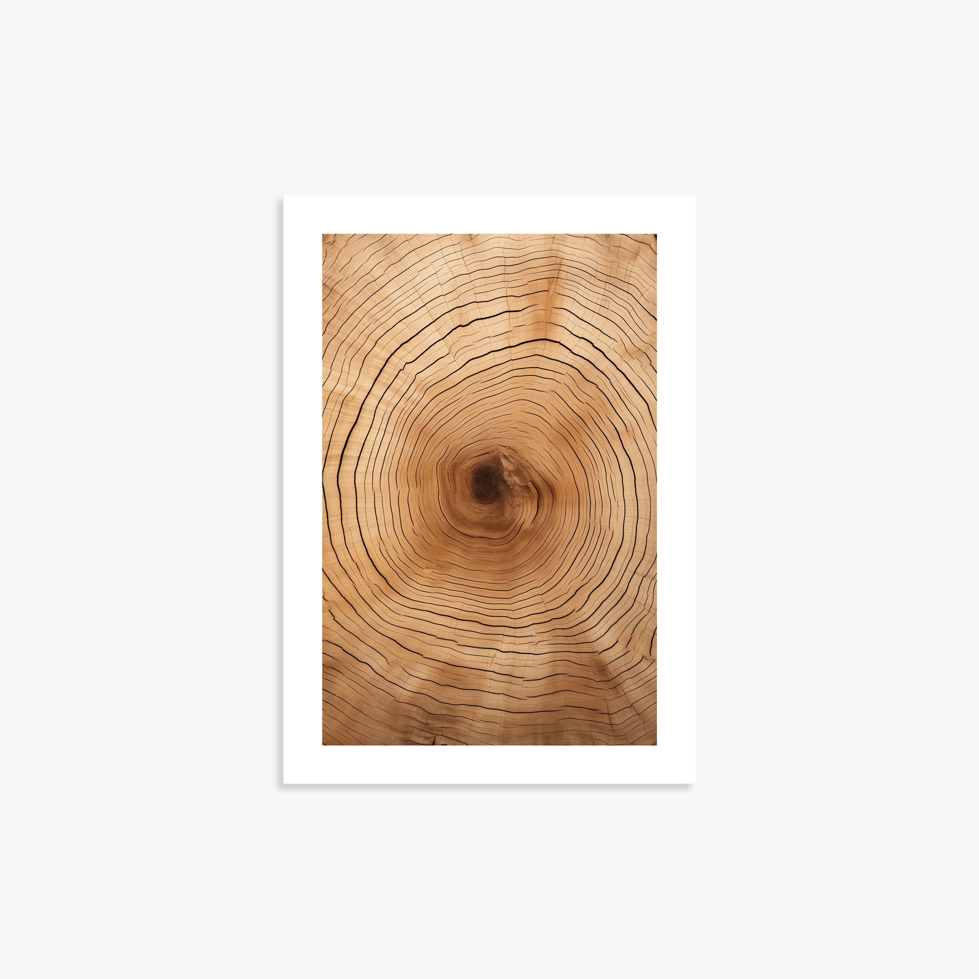 Time Rings, 21x30cm Printed Poster