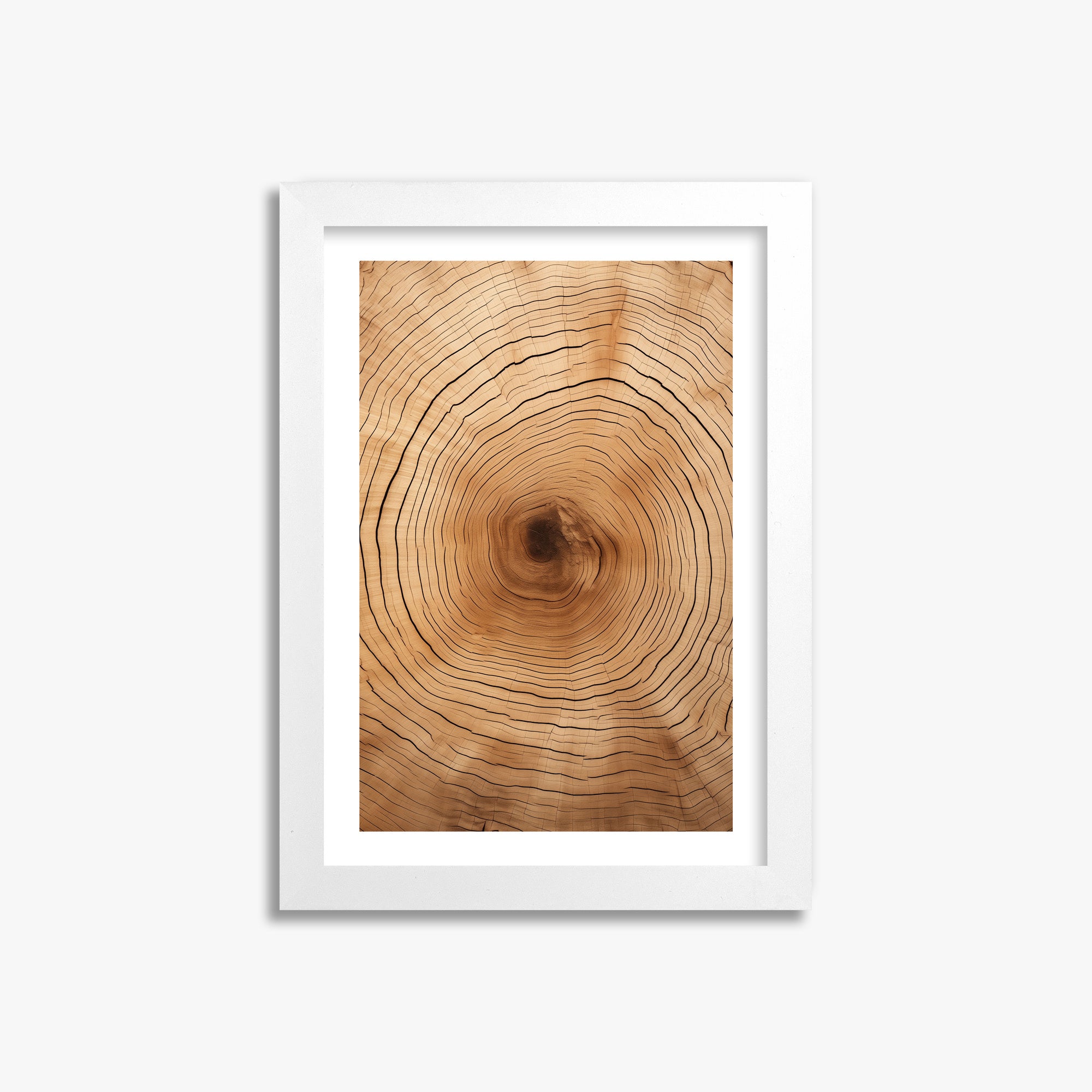 Time Rings, 21x30cm Whitek Framed Art Reproduction