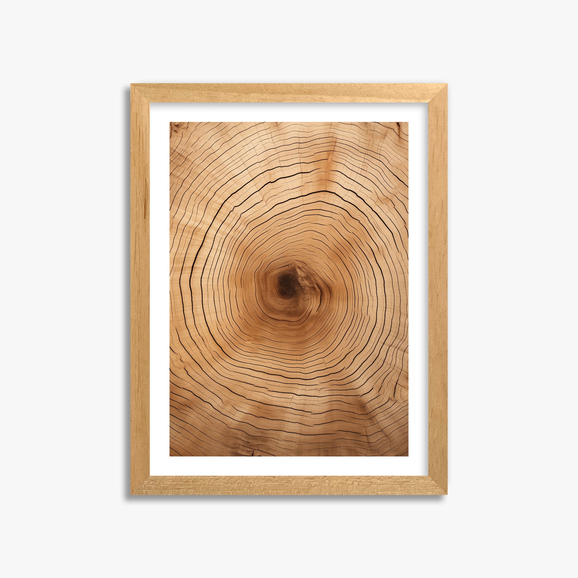 Time Rings, 30x40cm Oak Framed Art Reproduction