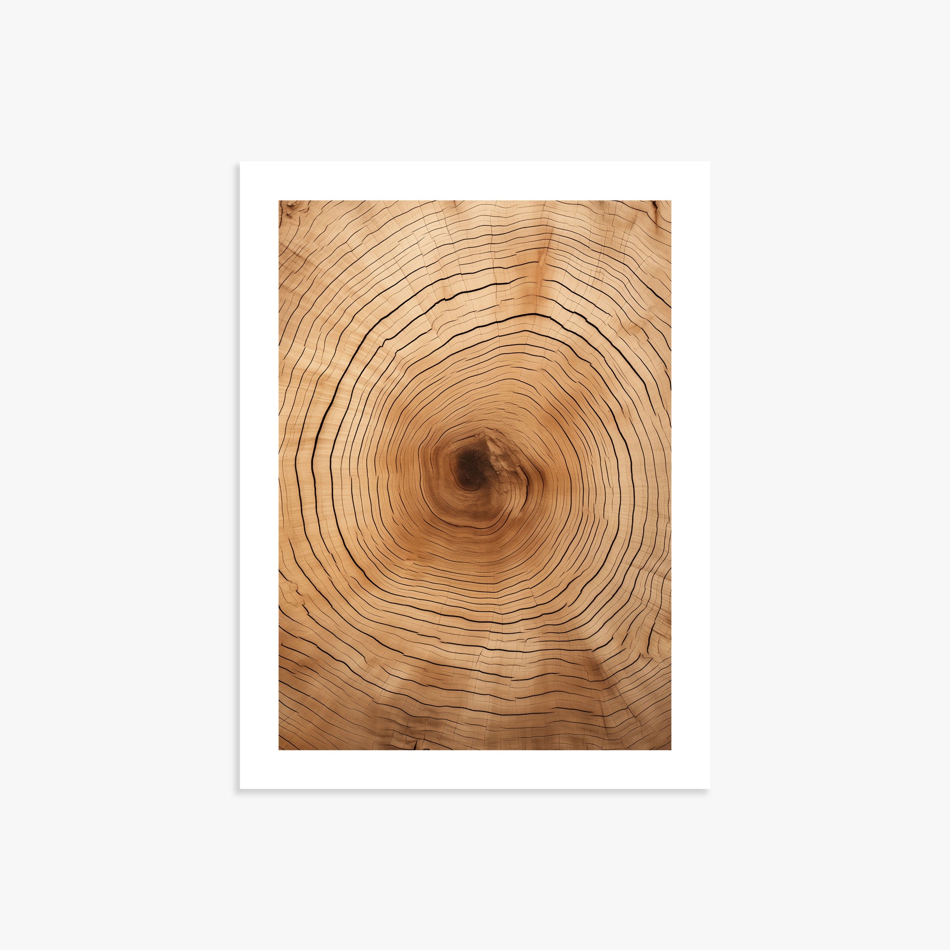 Time Rings, 30x40cm Printed Poster