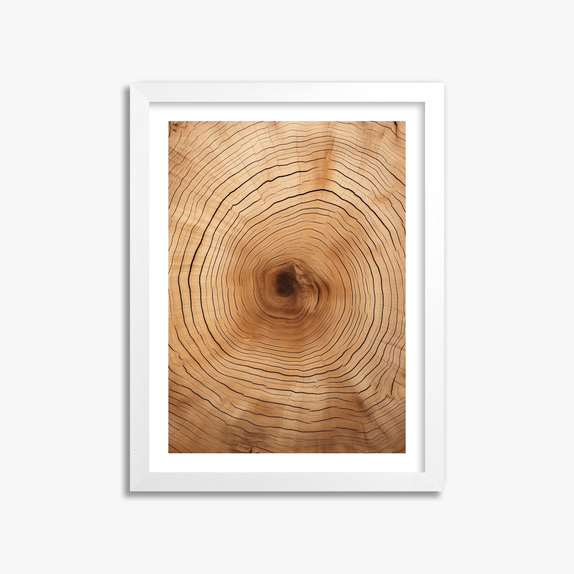 Time Rings, 30x40cm Whitek Framed Art Reproduction