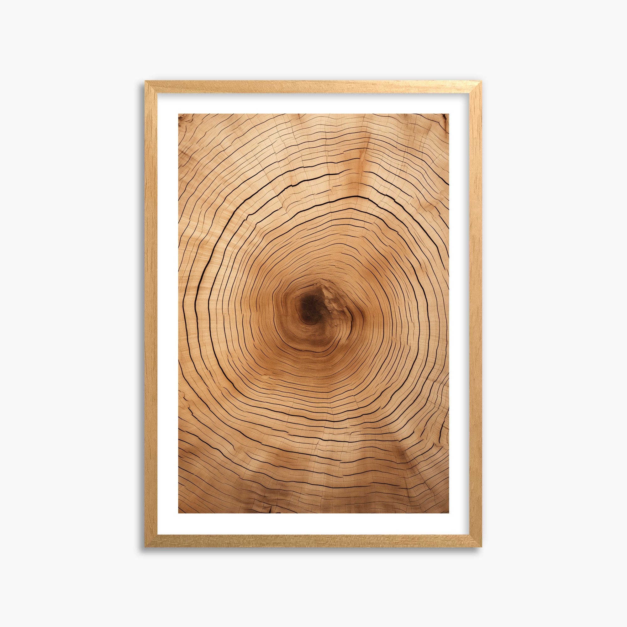 Time Rings, 50x70cm Oak Framed Art Reproduction