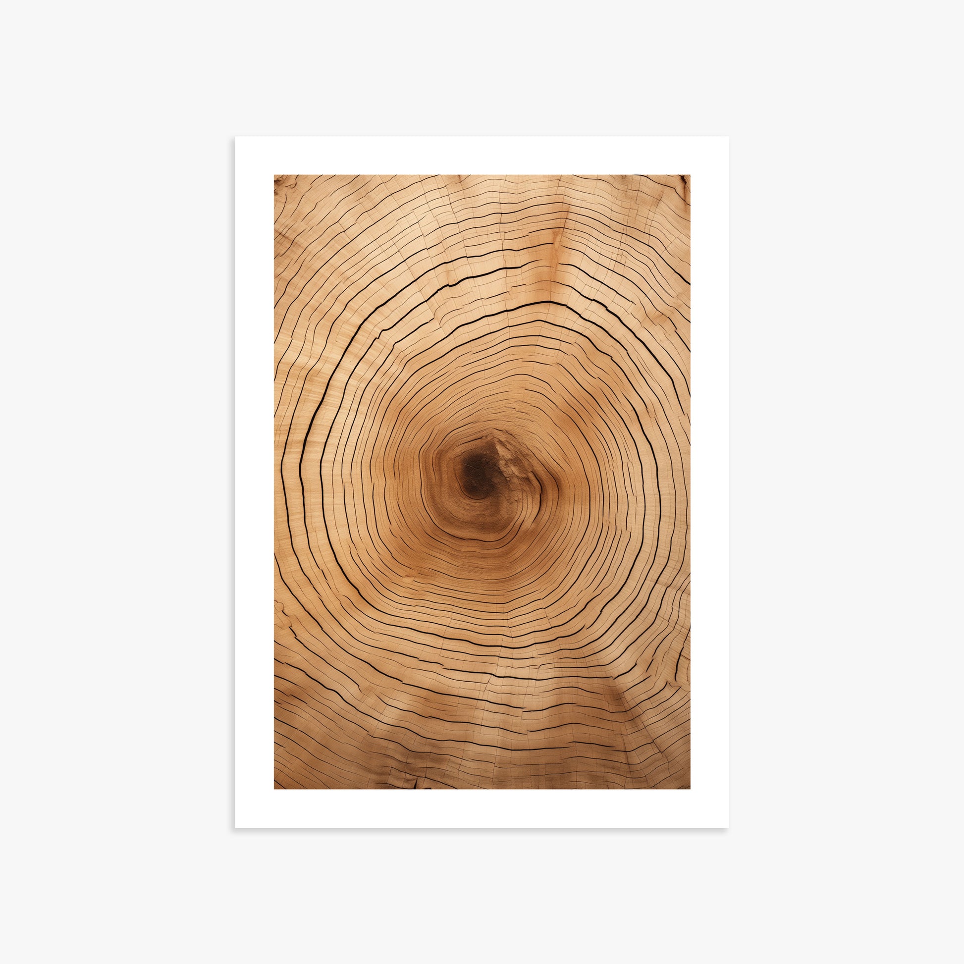 Time Rings, 50x70cm Printed Poster