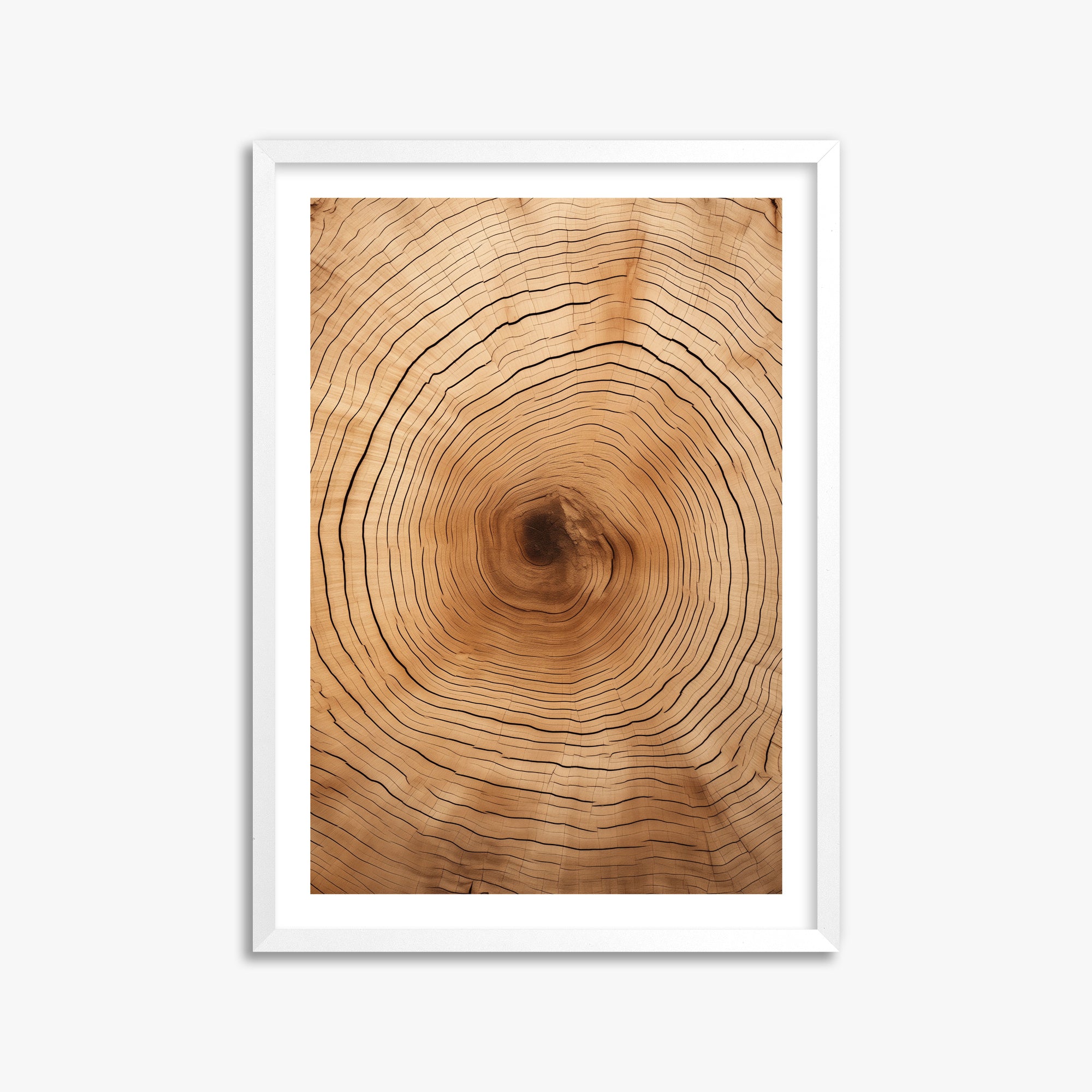 Time Rings, 50x70cm Whitek Framed Art Reproduction