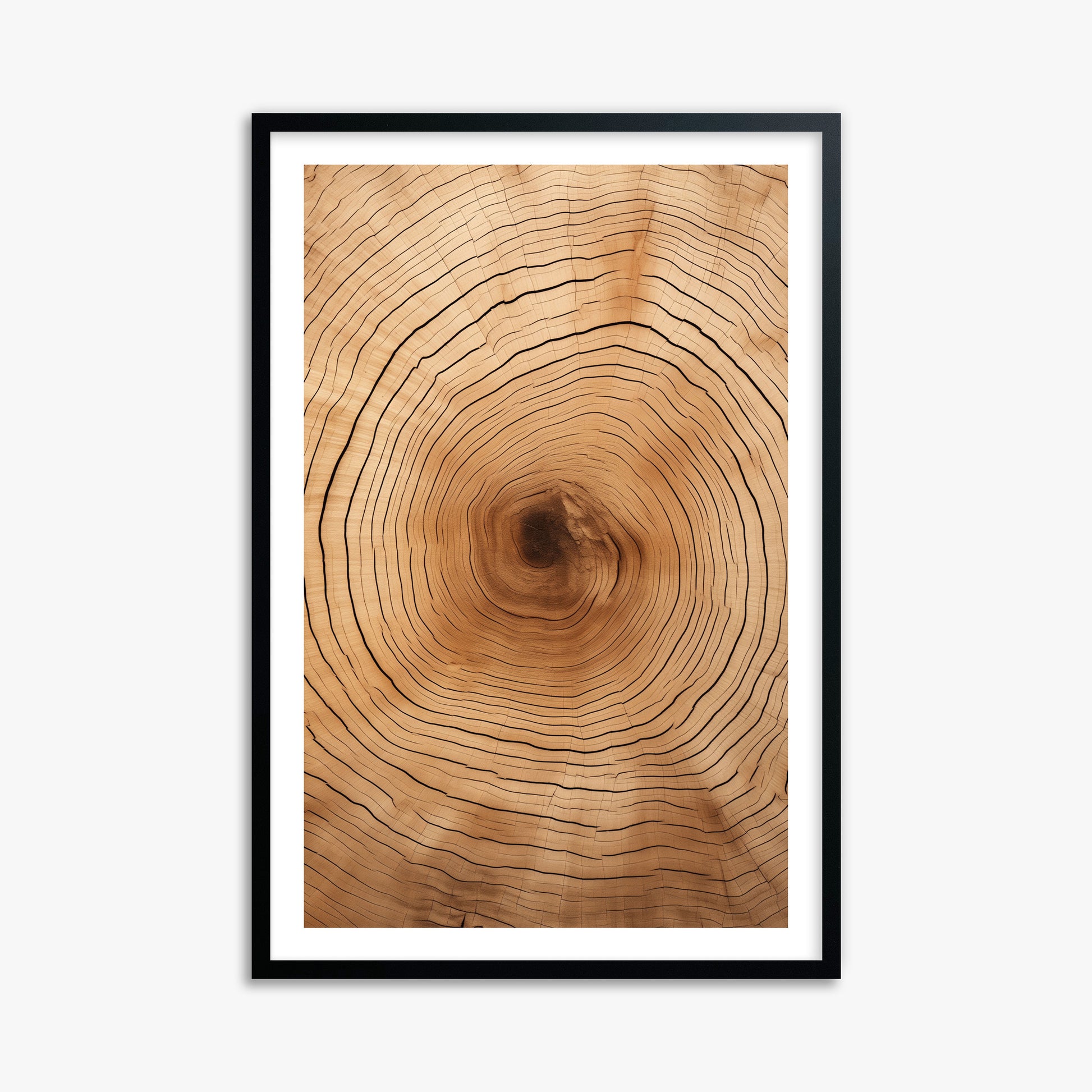 Time Rings, 61x91cm Black Framed Art Reproduction
