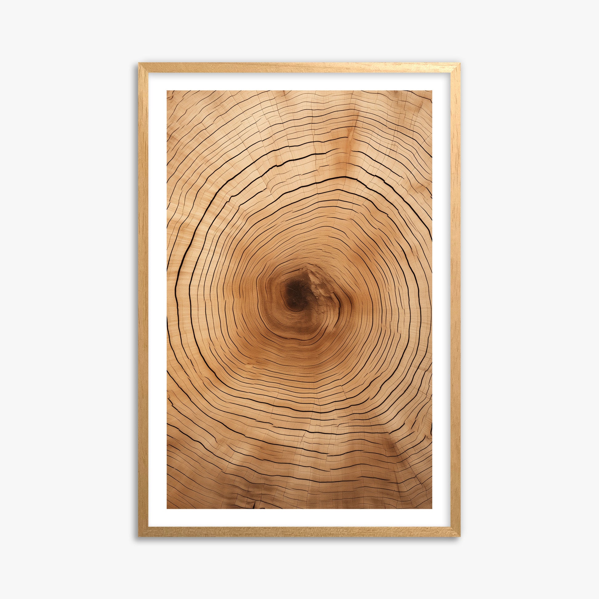 Time Rings, 61x91cm Oak Framed Art Reproduction