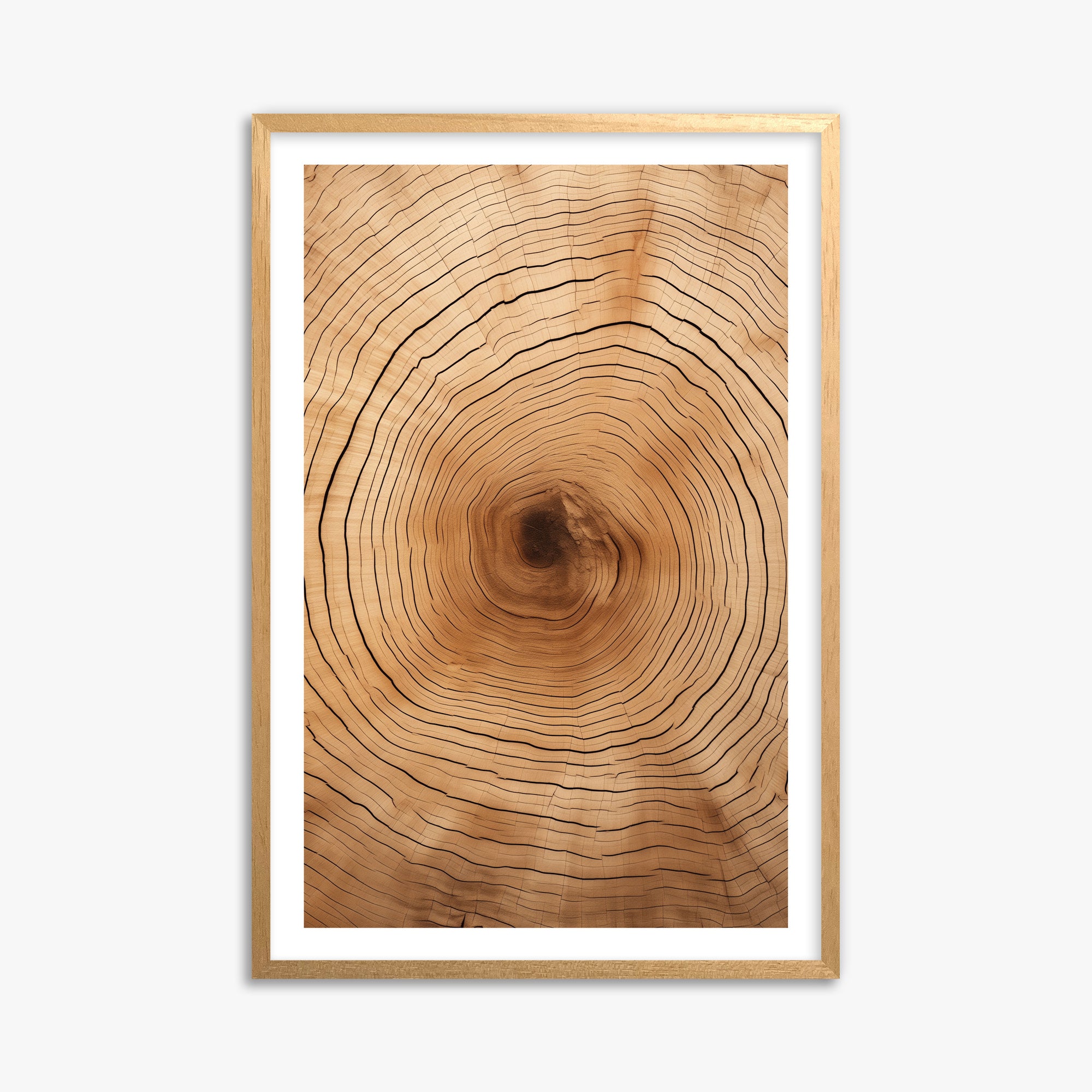 Time Rings, 61x91cm Oak Framed Art Reproduction
