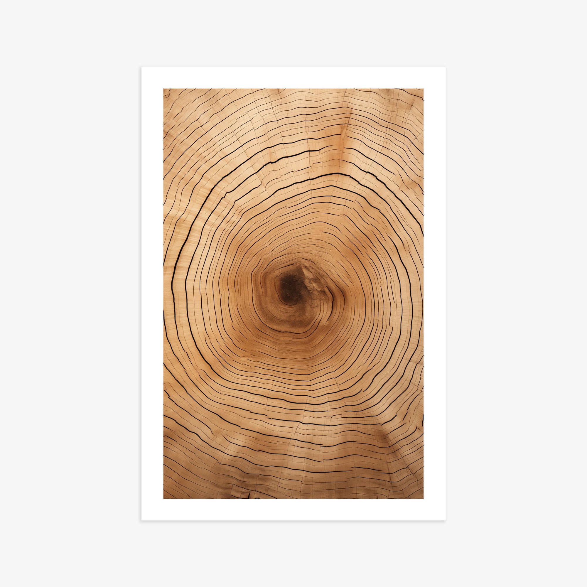 Time Rings, 61x91cm Printed Poster