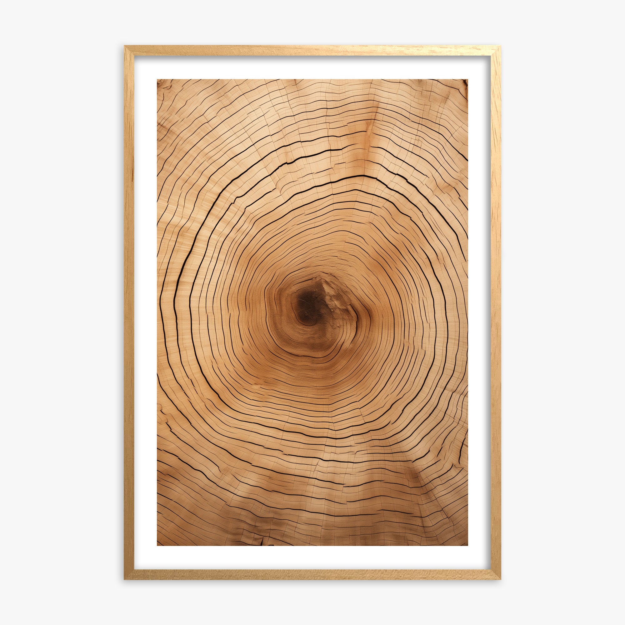 Time Rings, 70x100cm Oak Framed Art Reproduction