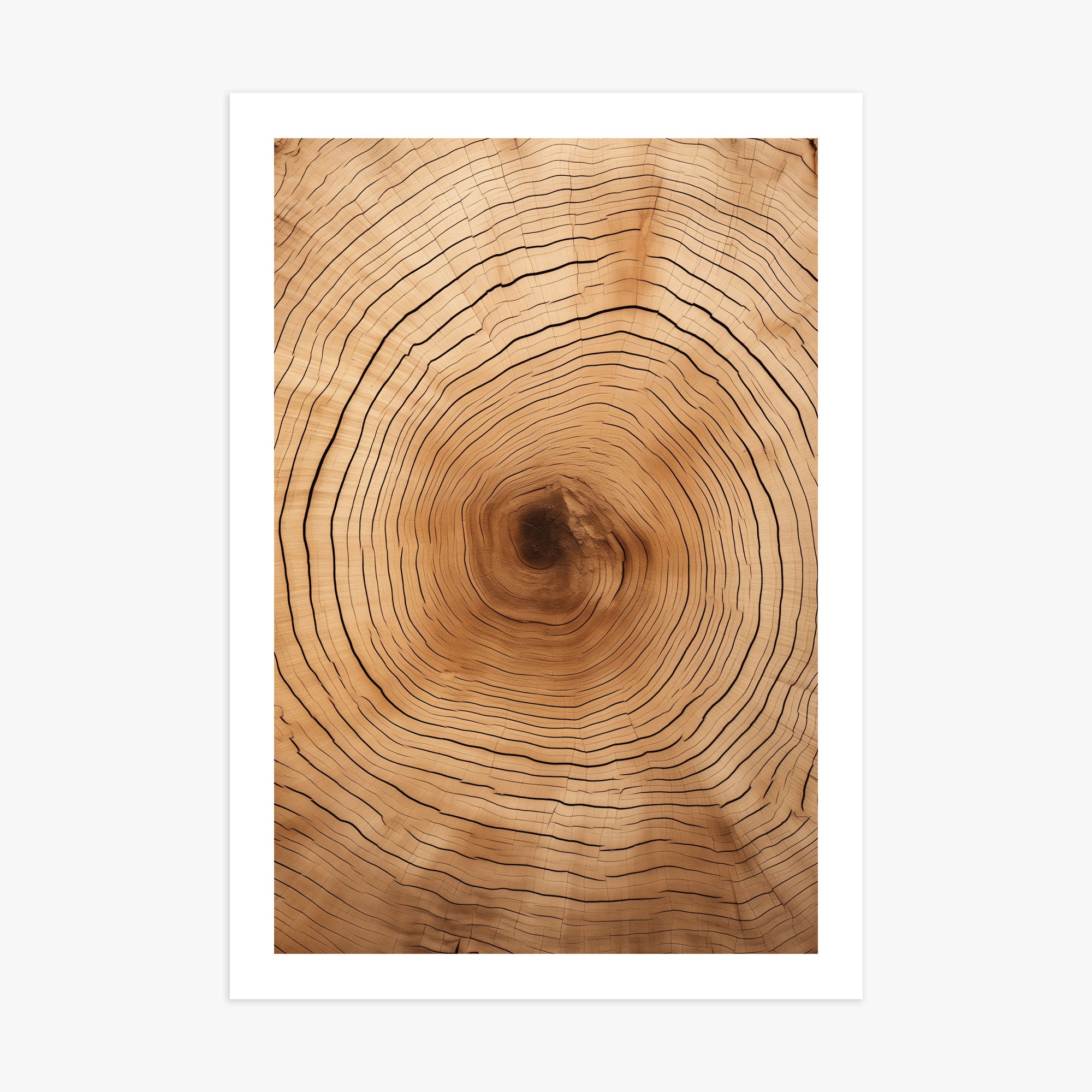Time Rings, 70x100cm Printed Poster