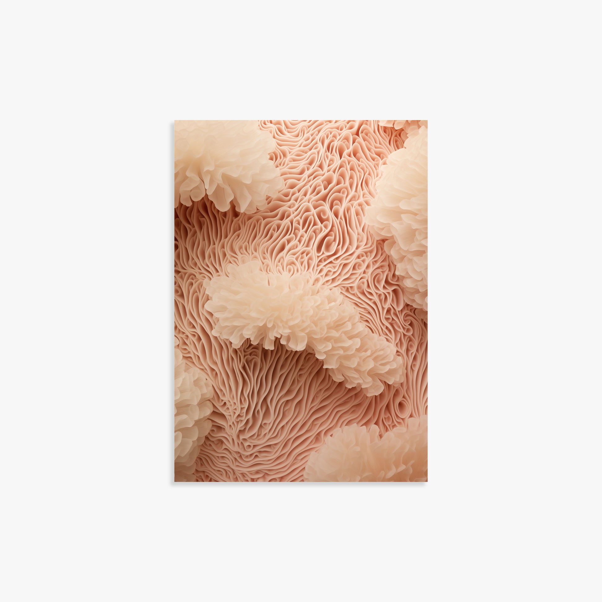 Anemone Dream, 21x30cm Poster Unframed