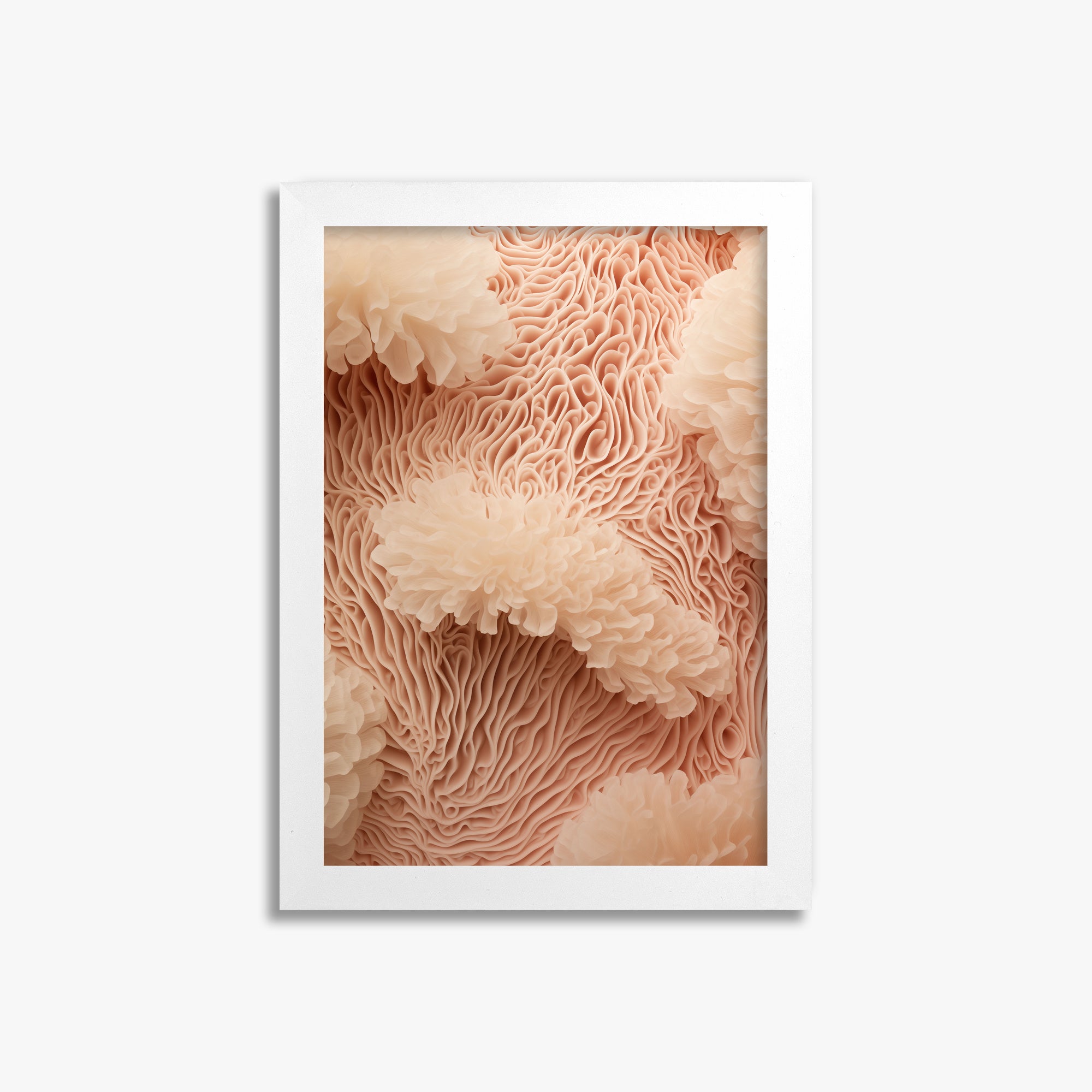 Anemone Dream, 21x30cm Framed Poster With White Frame