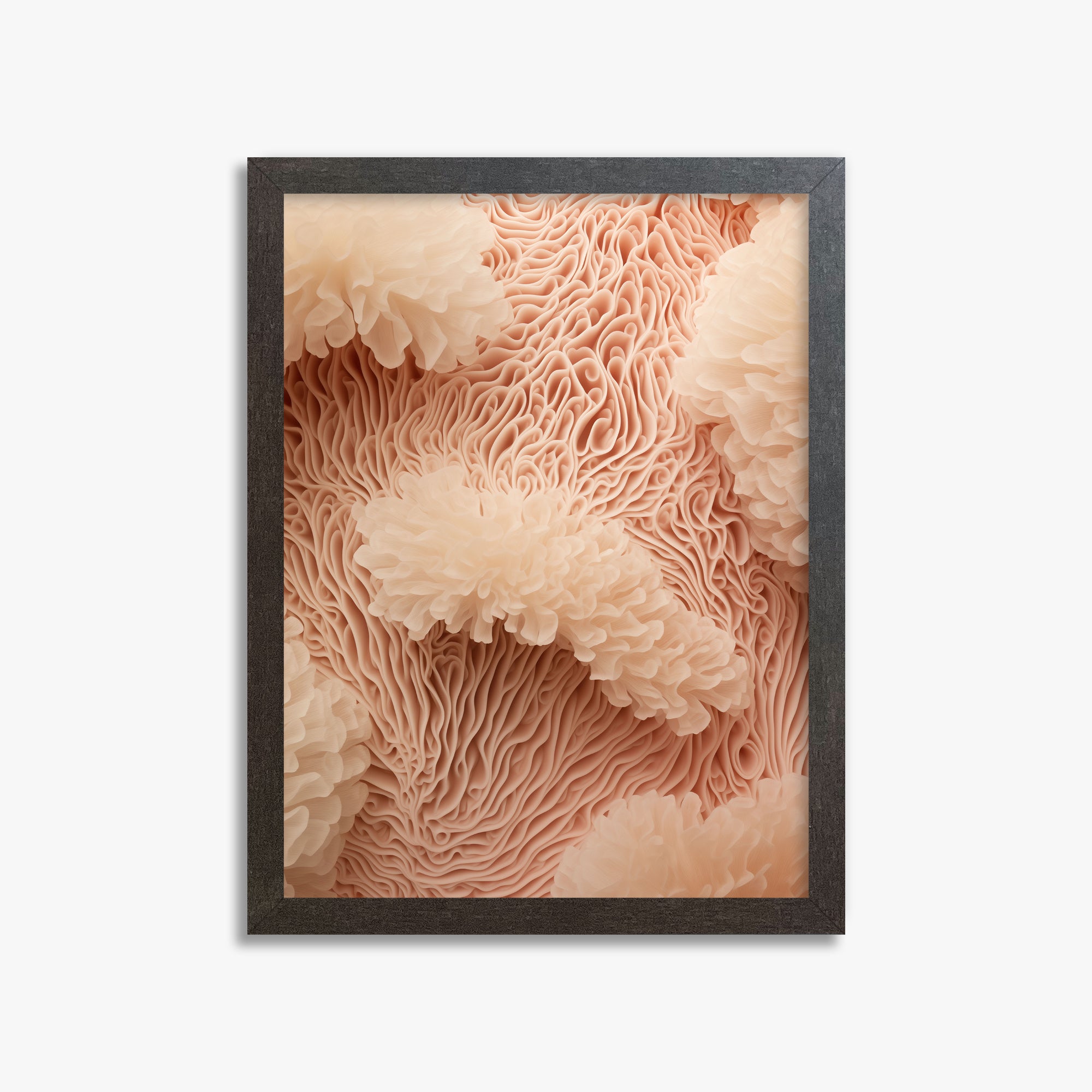 Anemone Dream, 30x40cm Framed Poster With Espresso Frame
