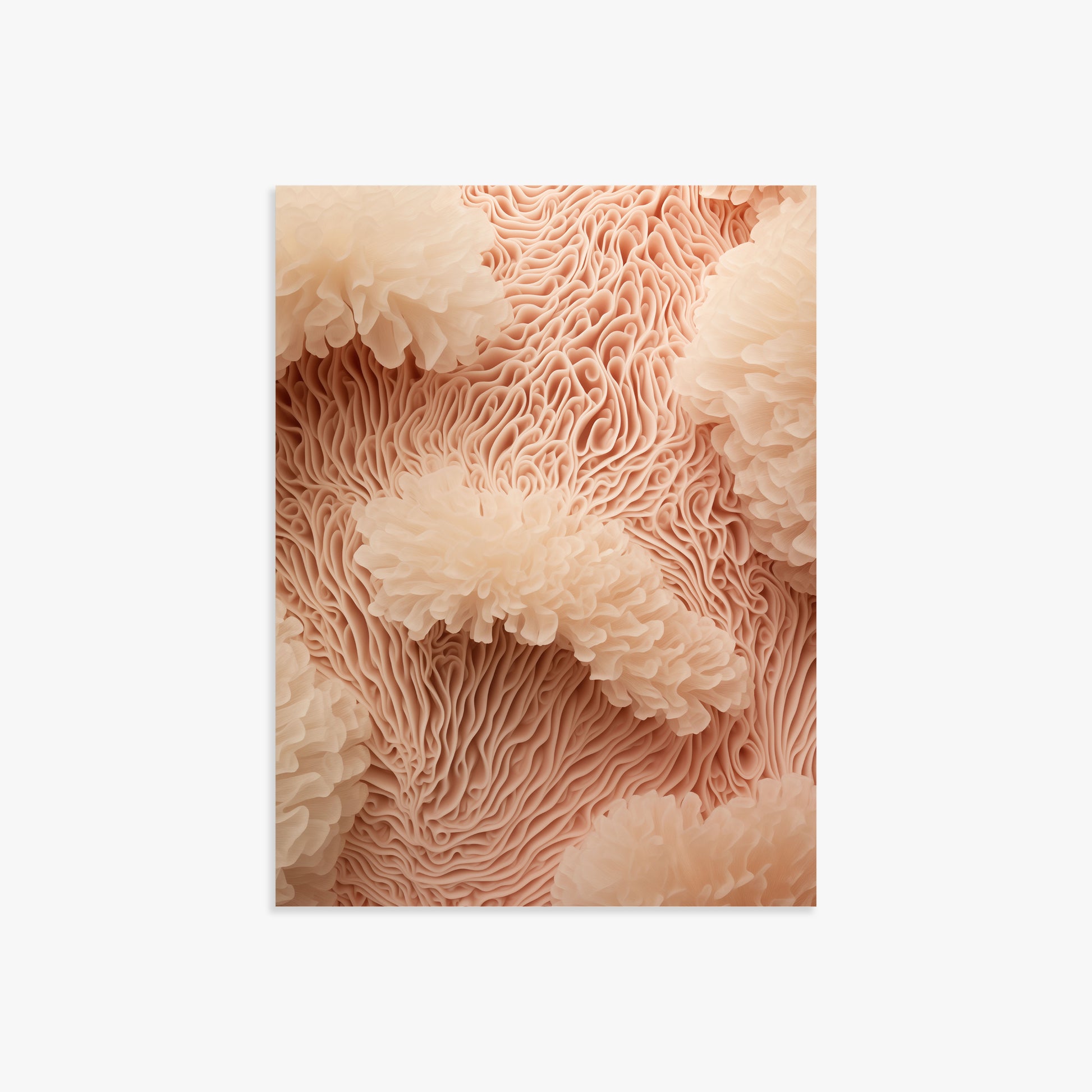 Anemone Dream, 30x40cm Poster Unframed