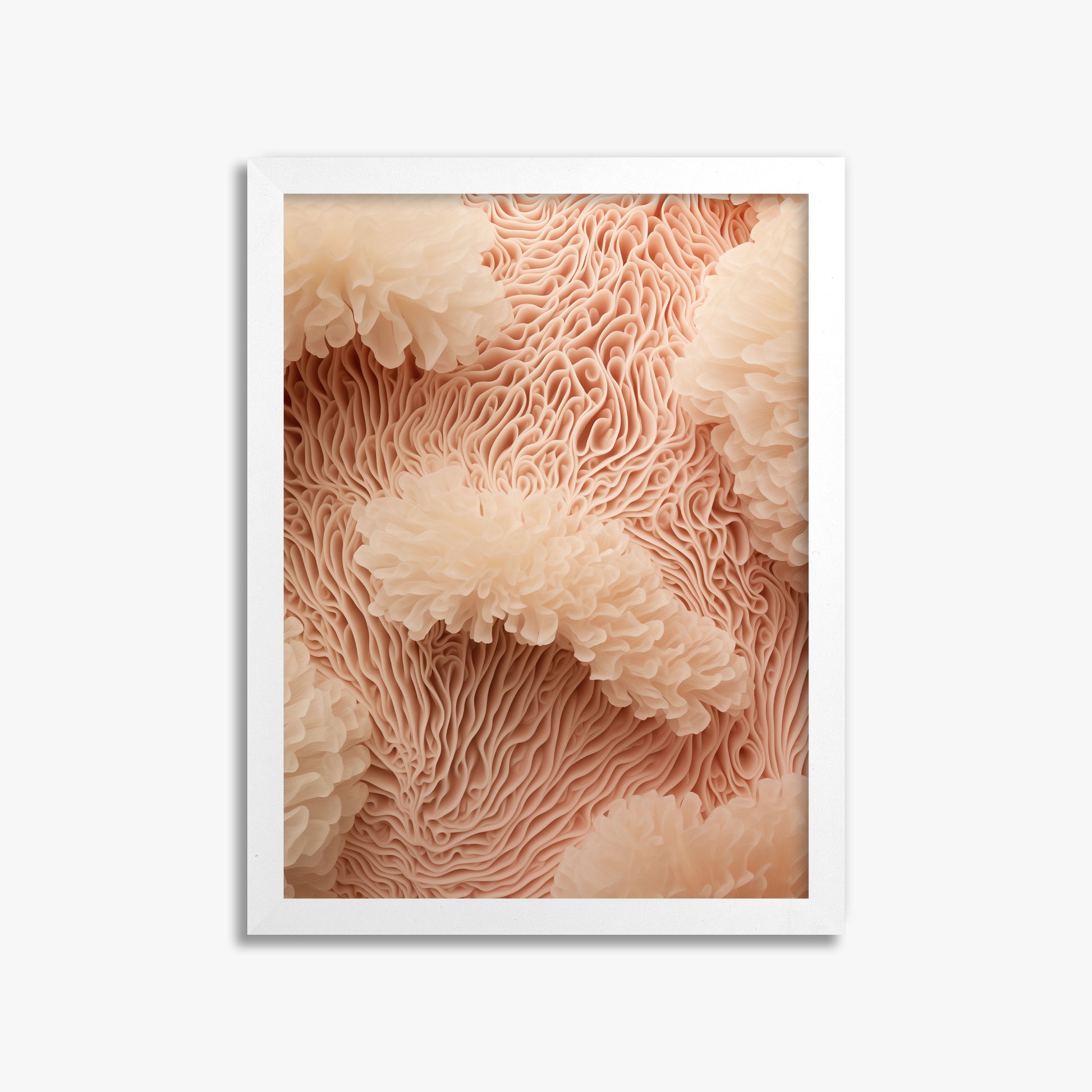 Anemone Dream, 30x40cm Framed Poster With White Frame