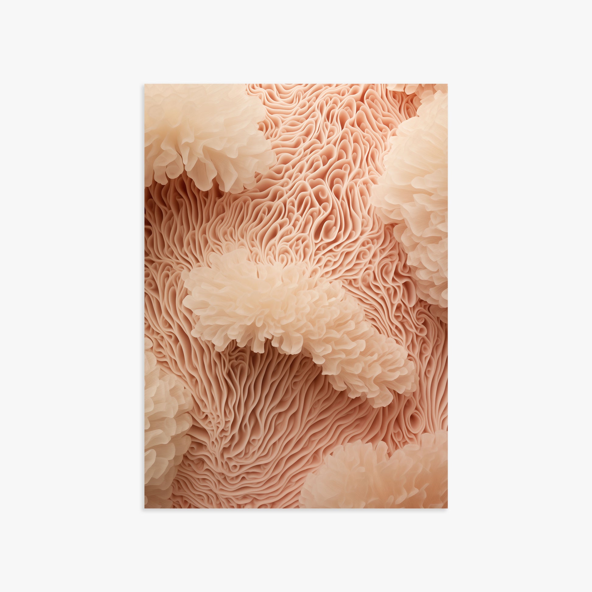 Anemone Dream, 50x70cm Poster Unframed