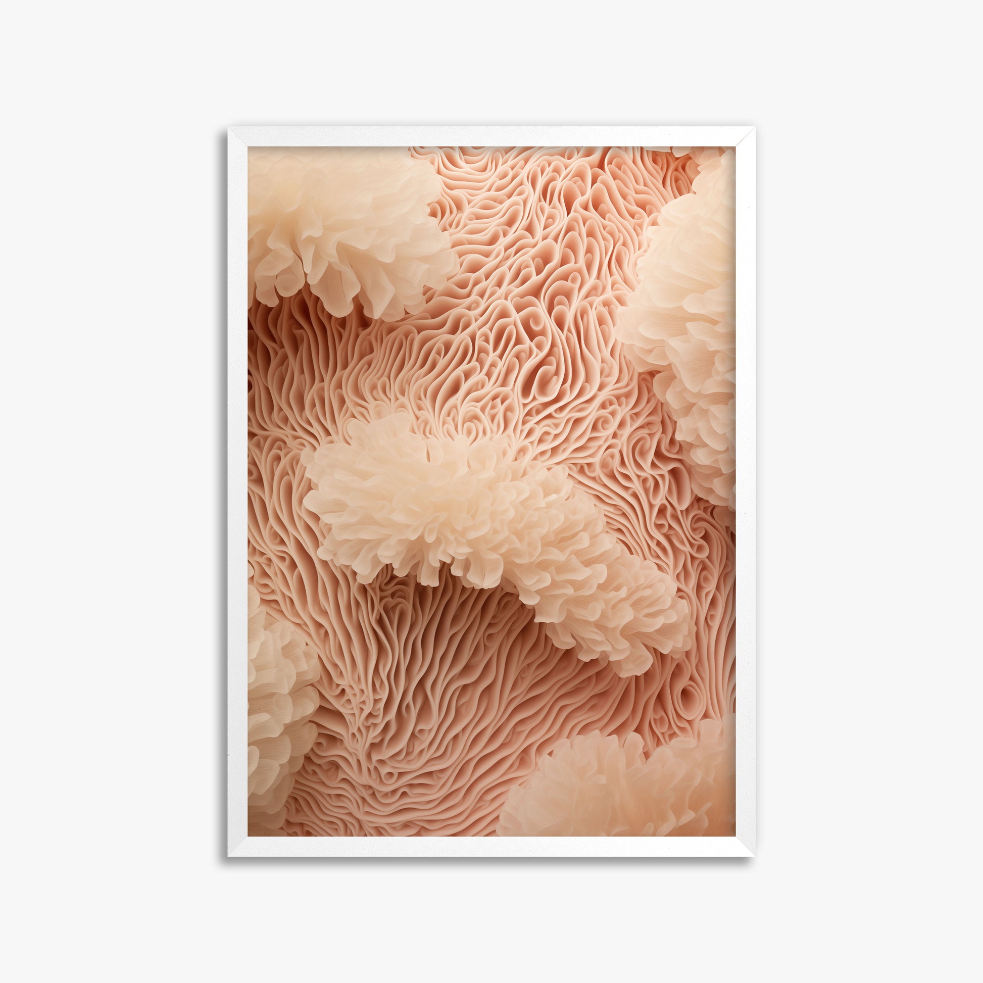 Anemone Dream, 50x70cm Framed Poster With White Frame