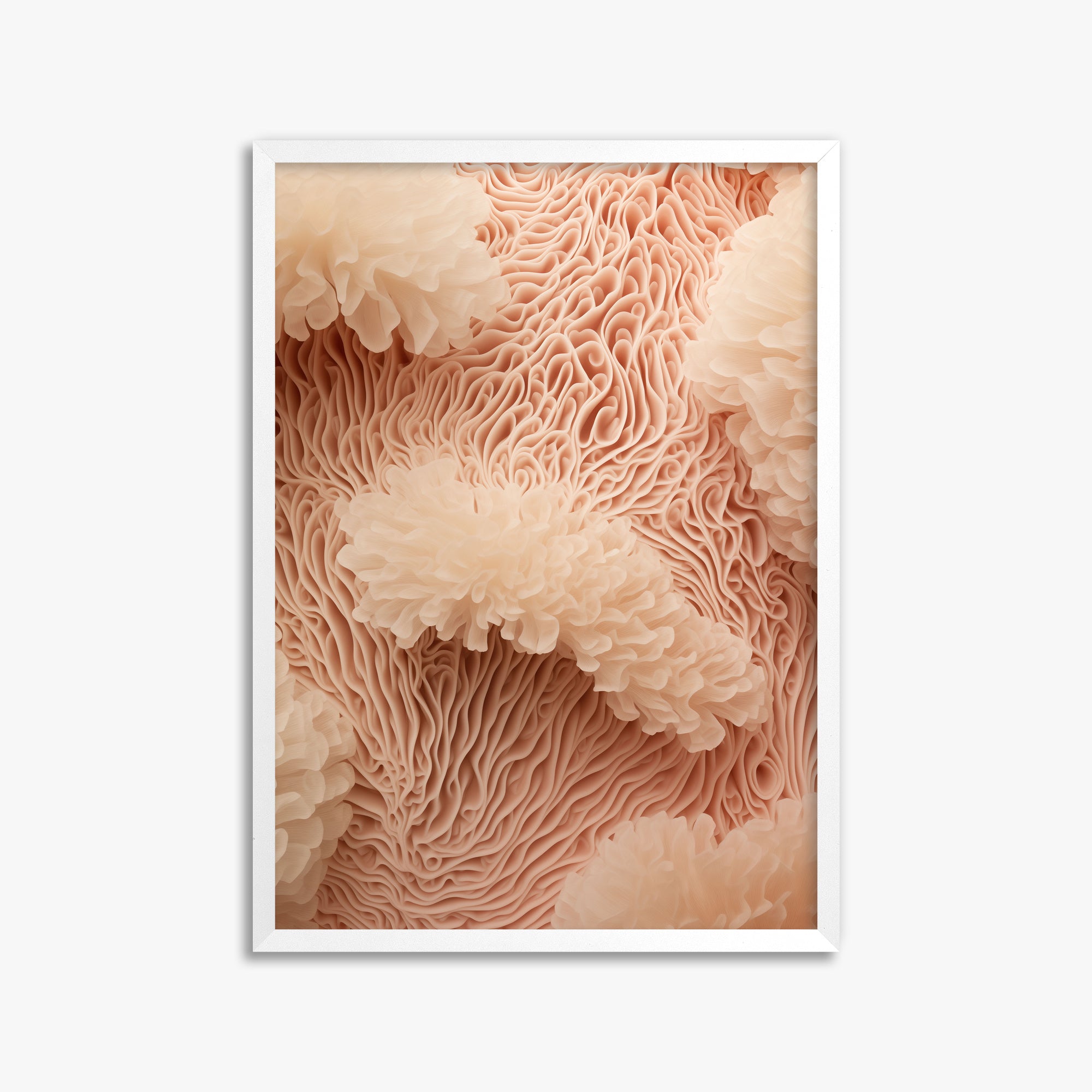 Anemone Dream, 50x70cm Framed Poster With White Frame