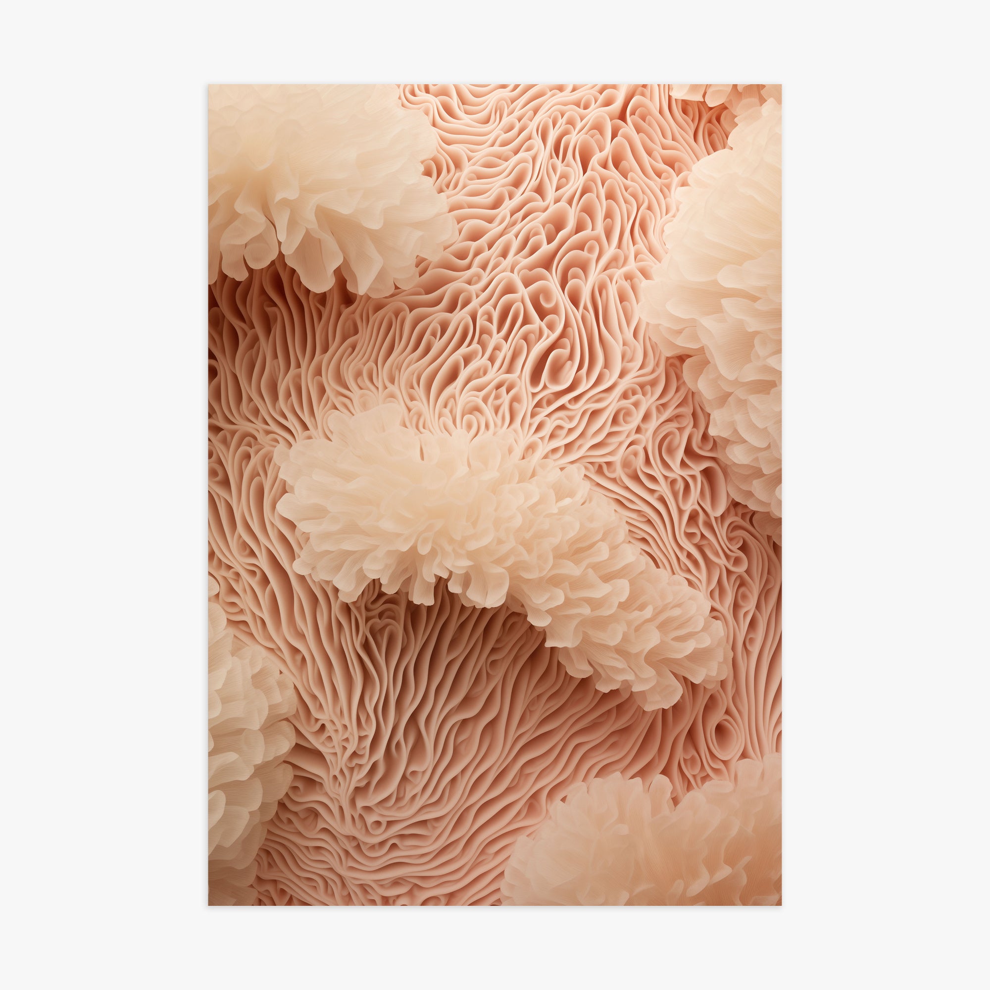 Anemone Dream, 70x100cm Poster Unframed