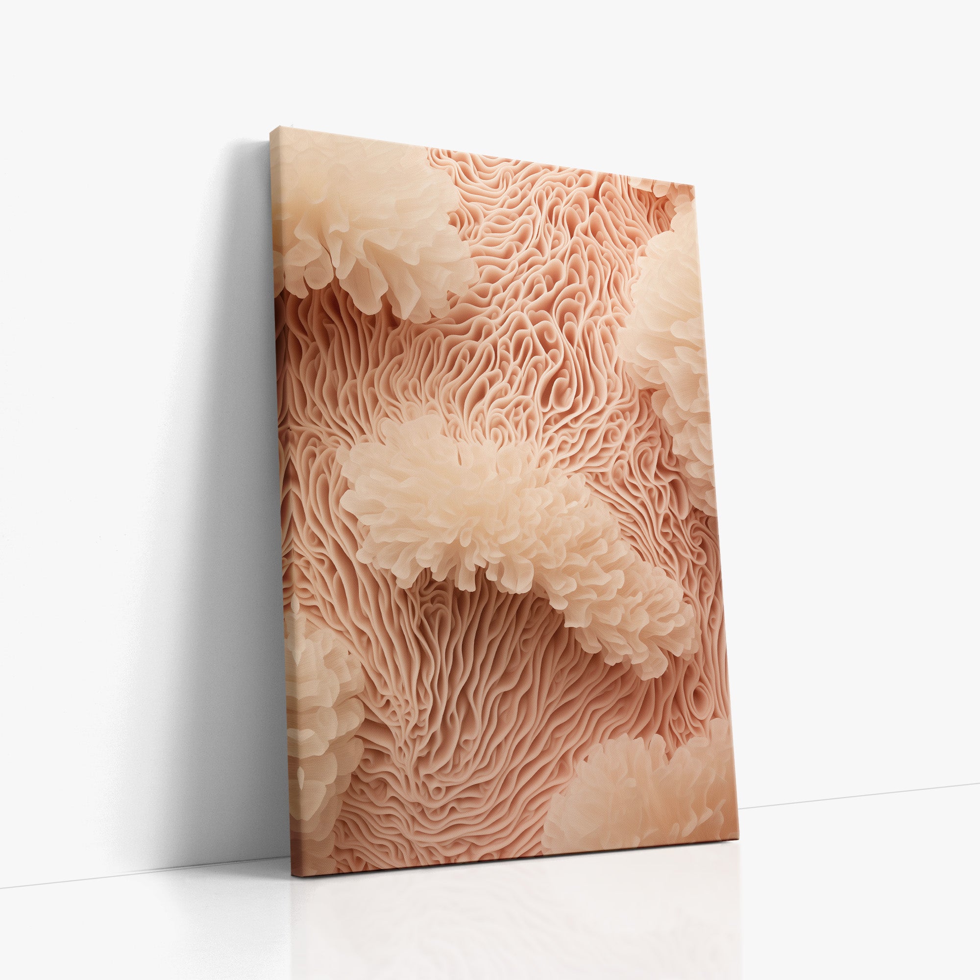 Anemone Dream