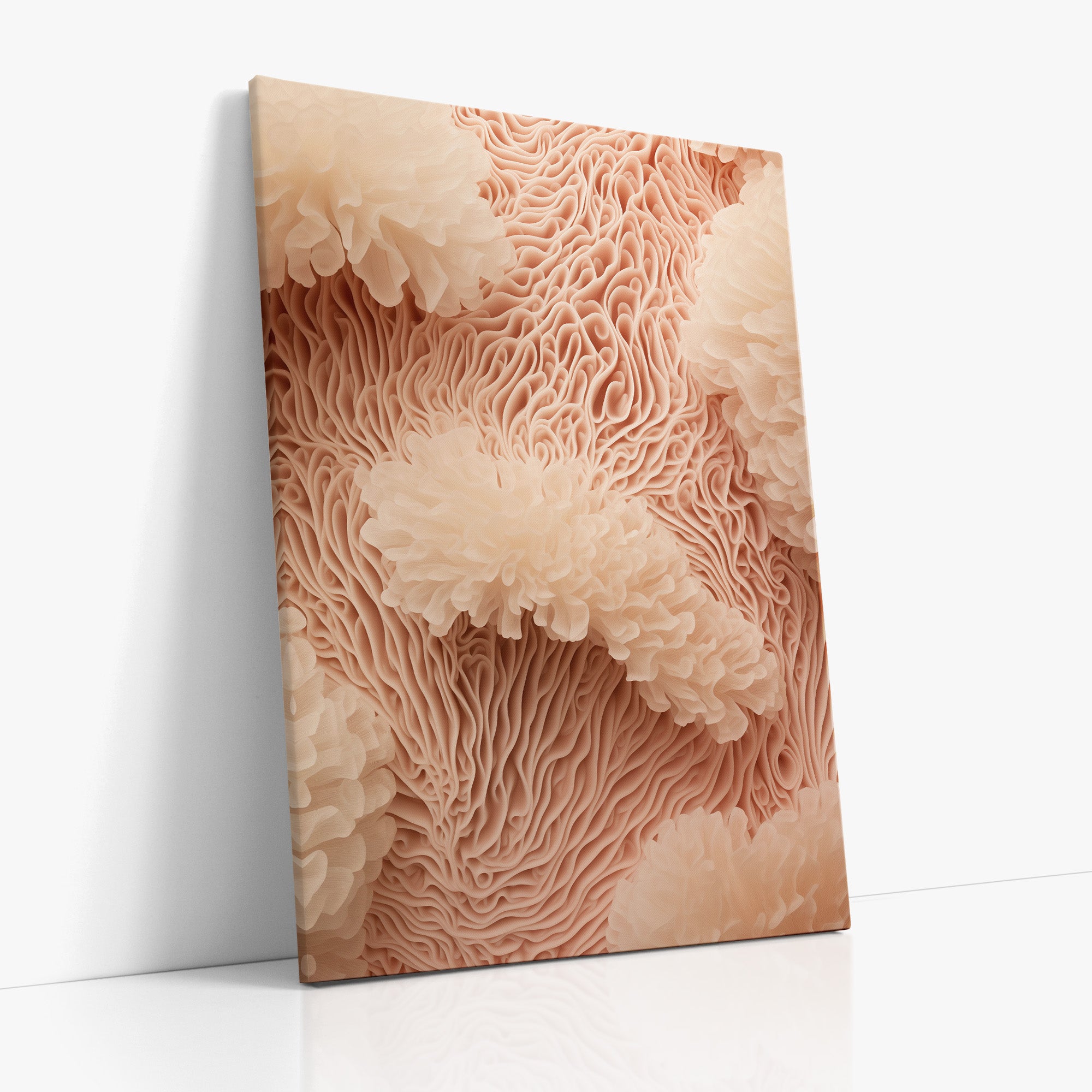 Anemone Dream