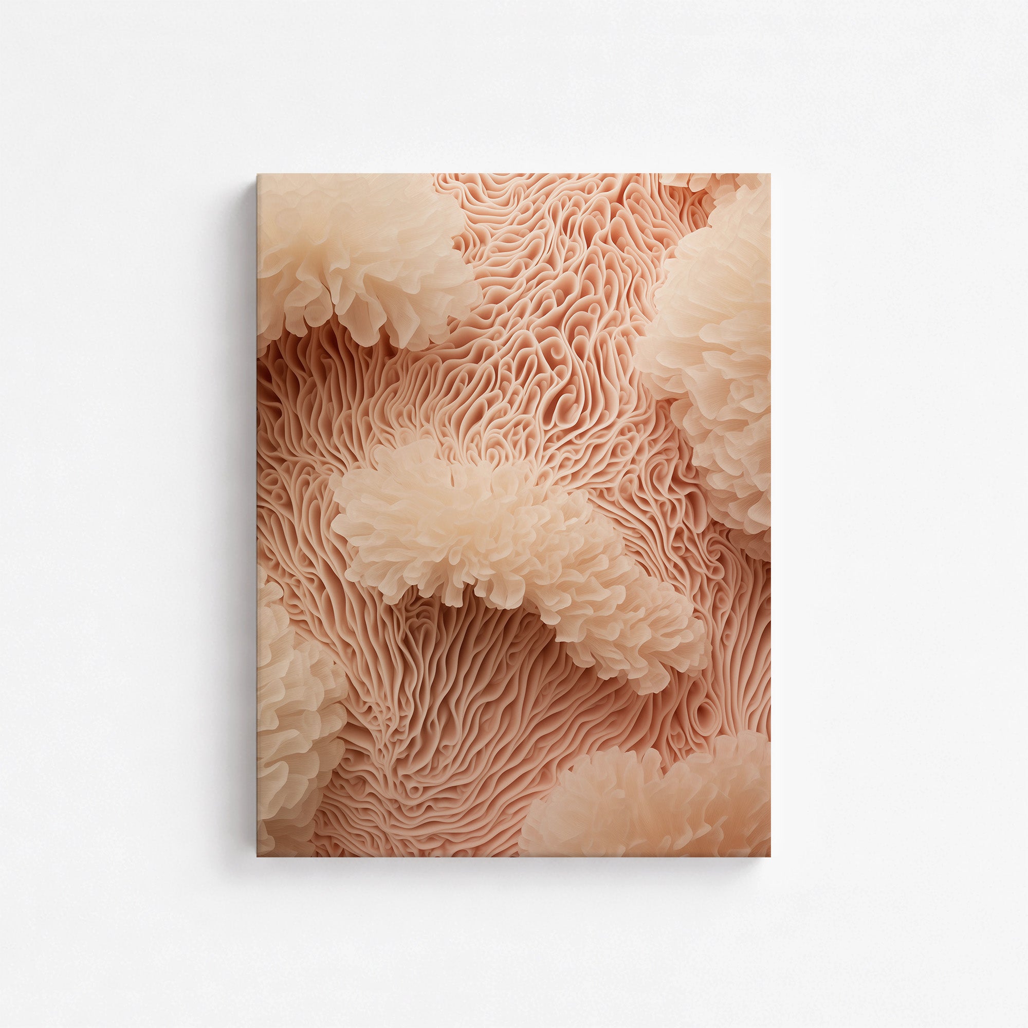 Anemone Dream