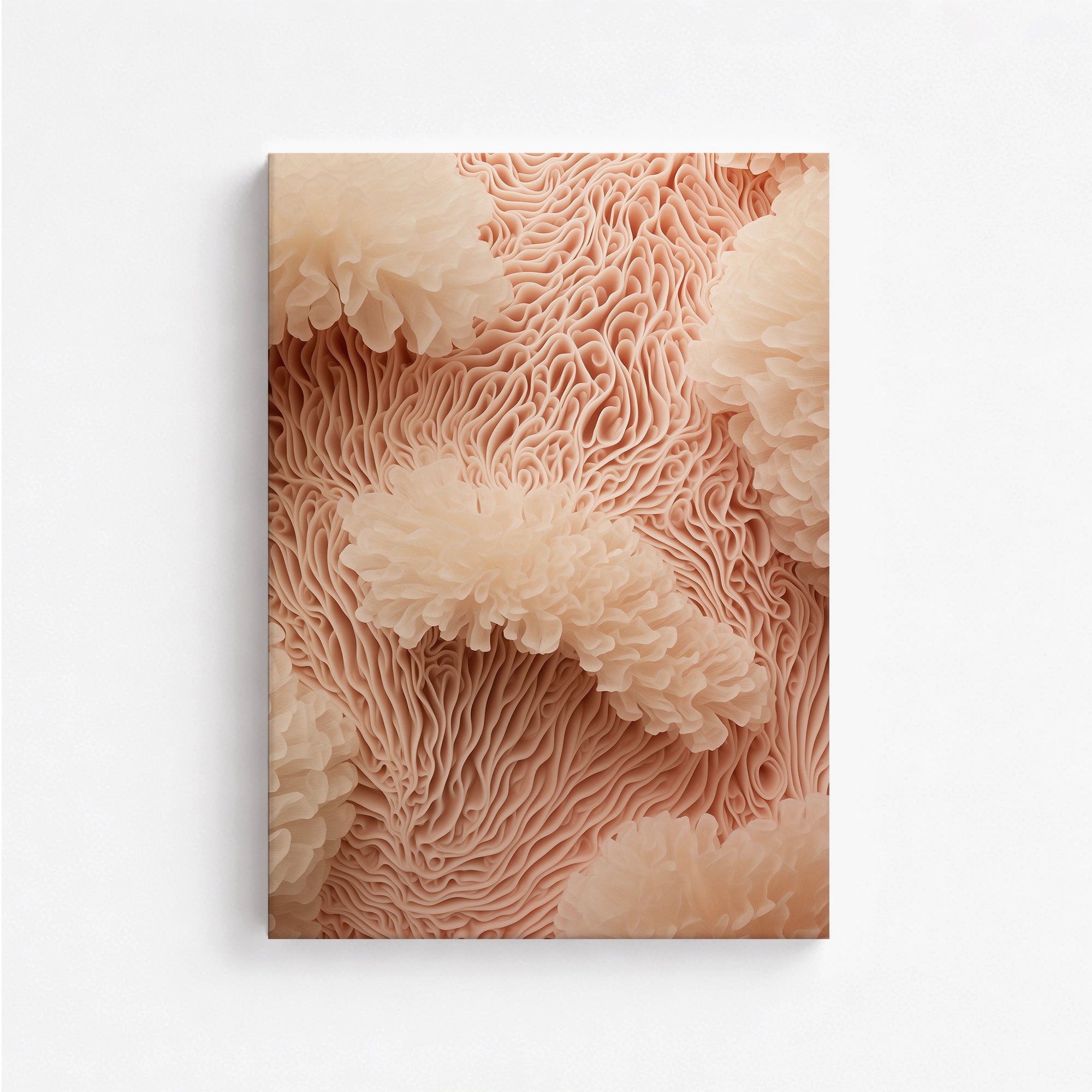 Anemone Dream
