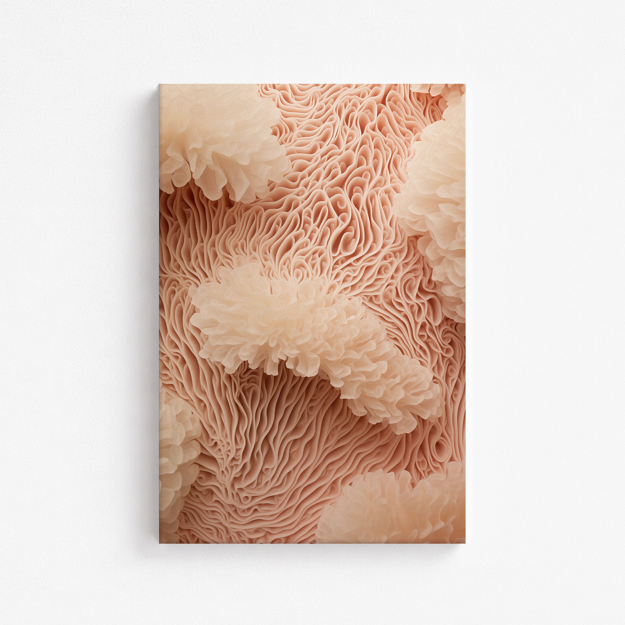 Anemone Dream