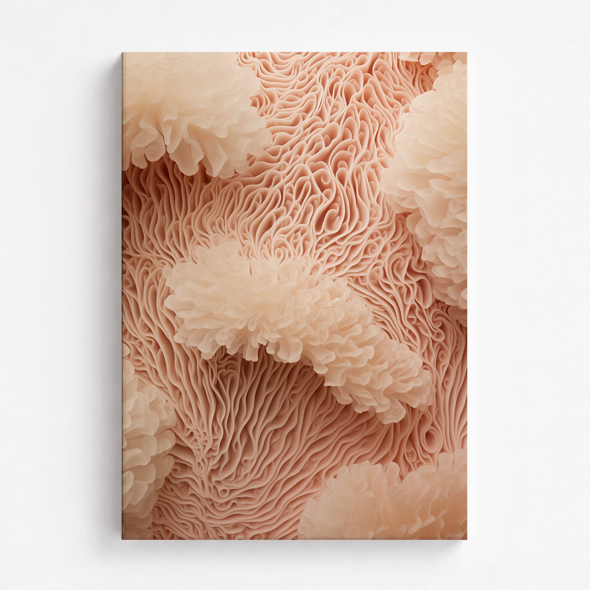 Anemone Dream