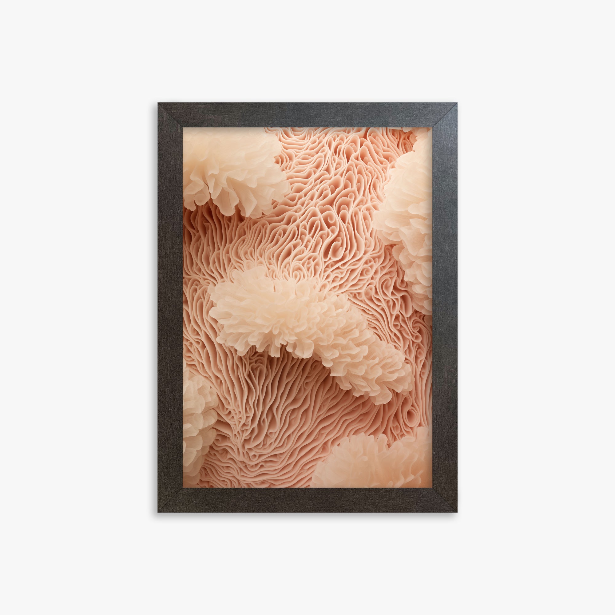Sogno di anemone