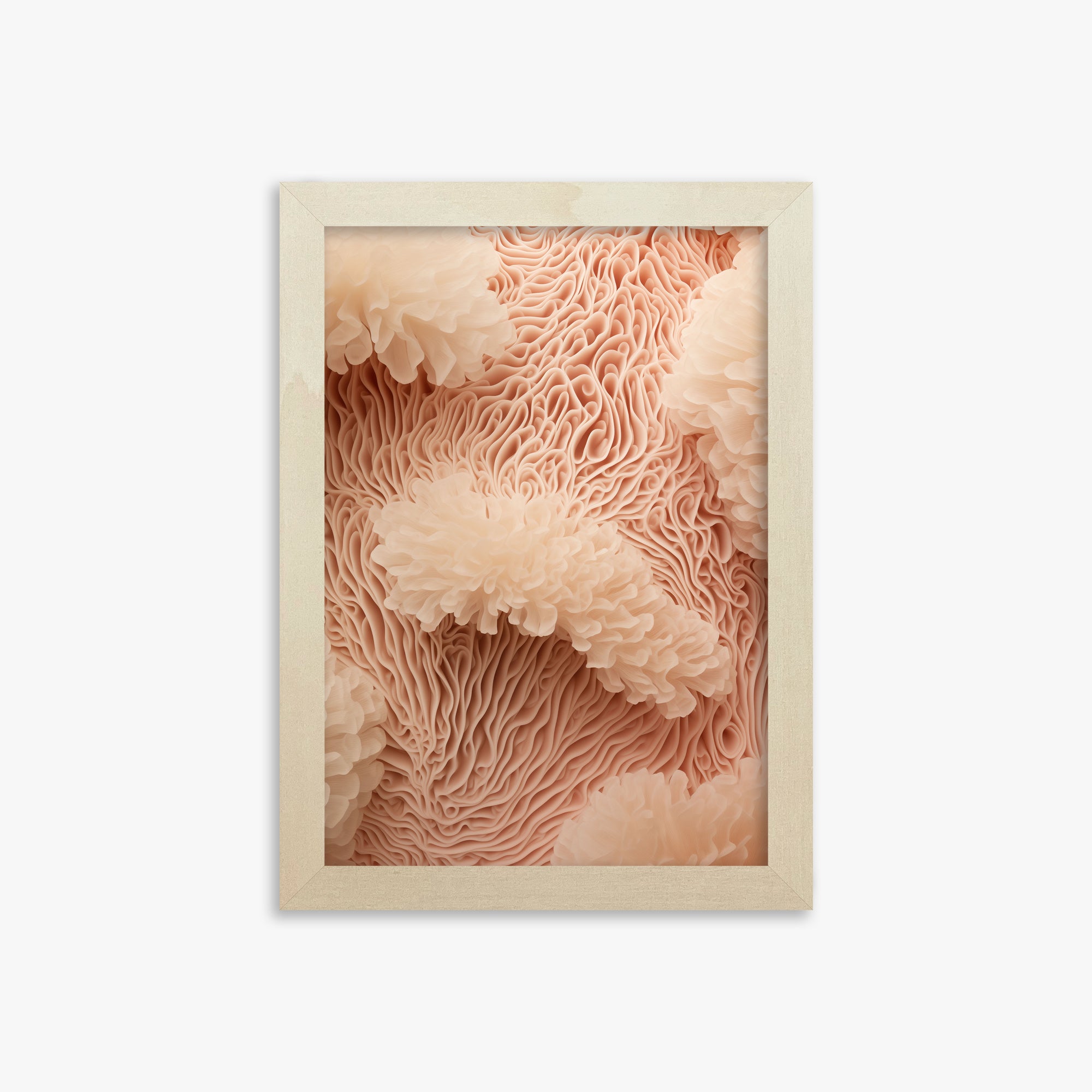 Sogno di anemone