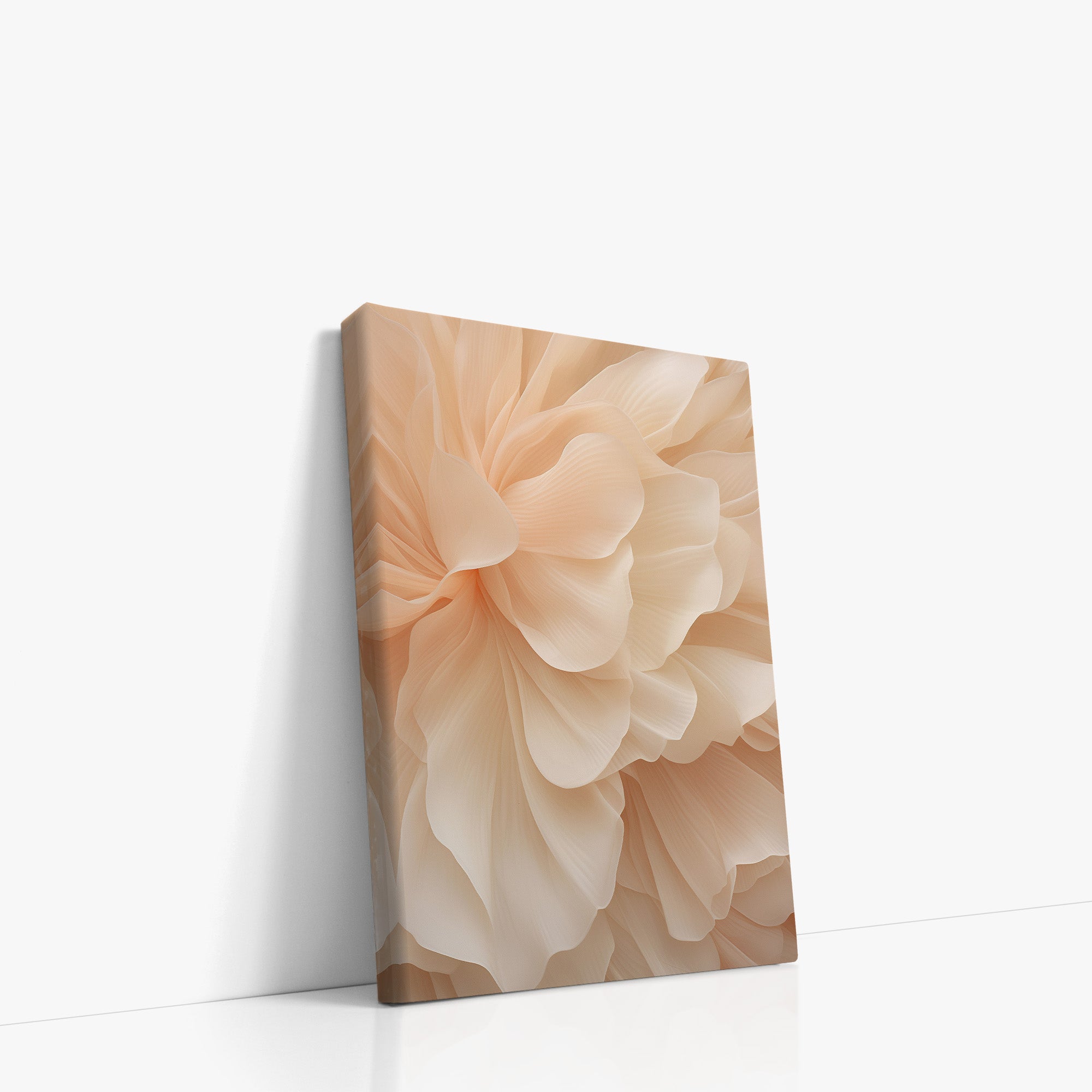 Voile de pivoine