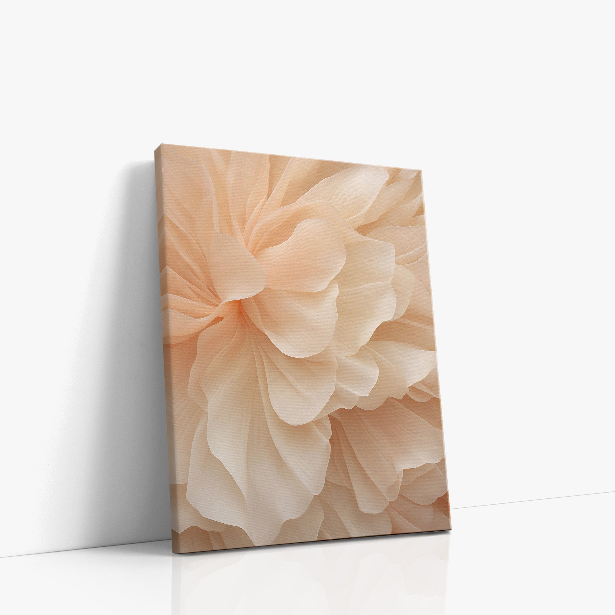 Voile de pivoine