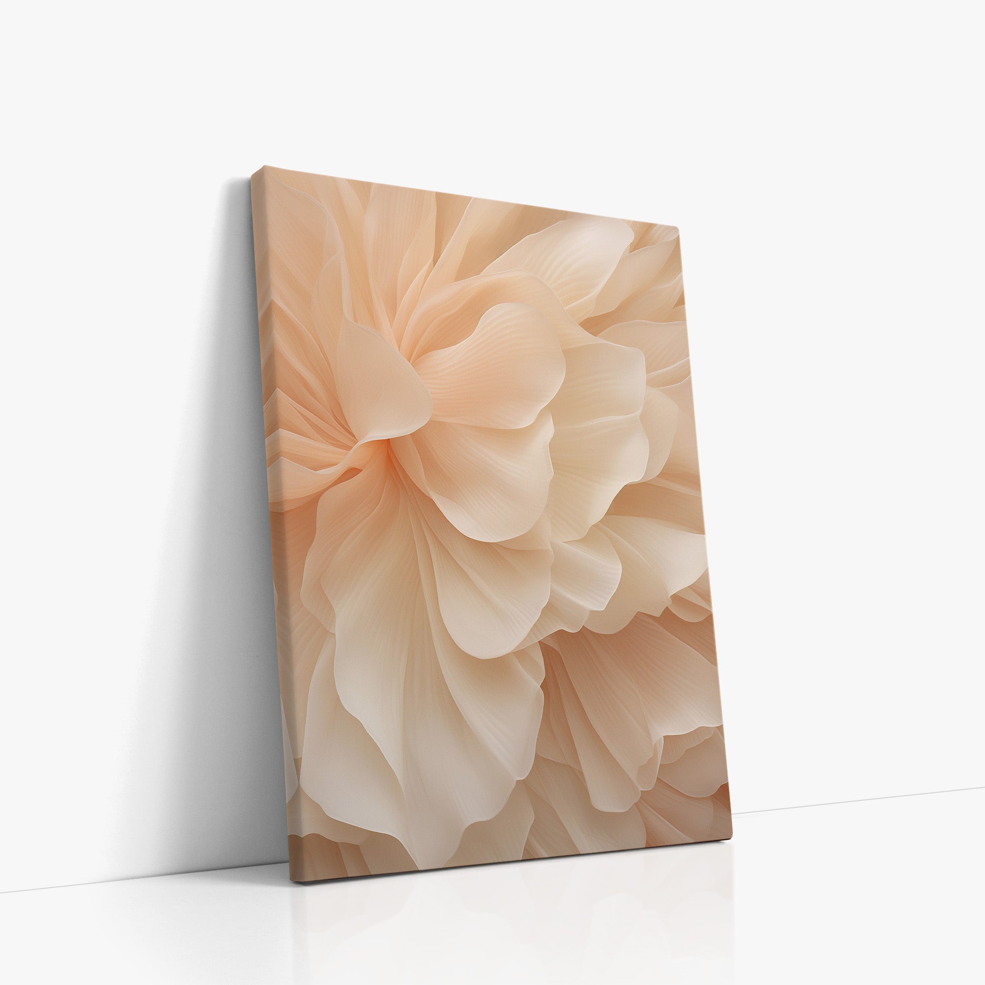 Voile de pivoine