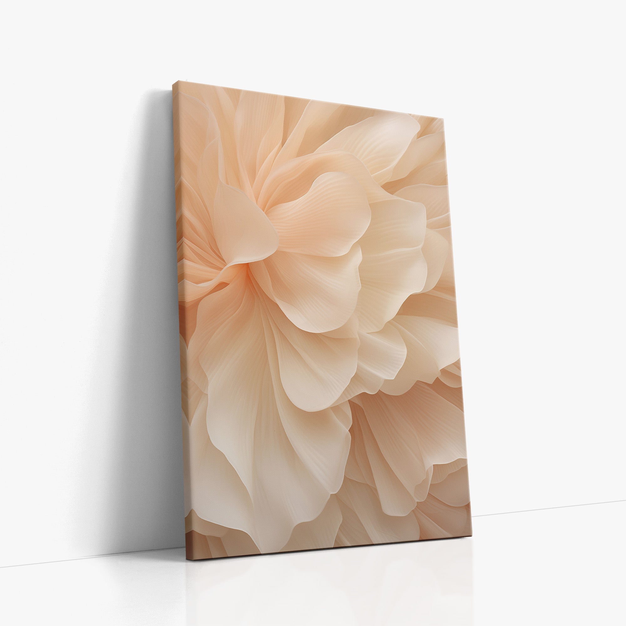 Voile de pivoine