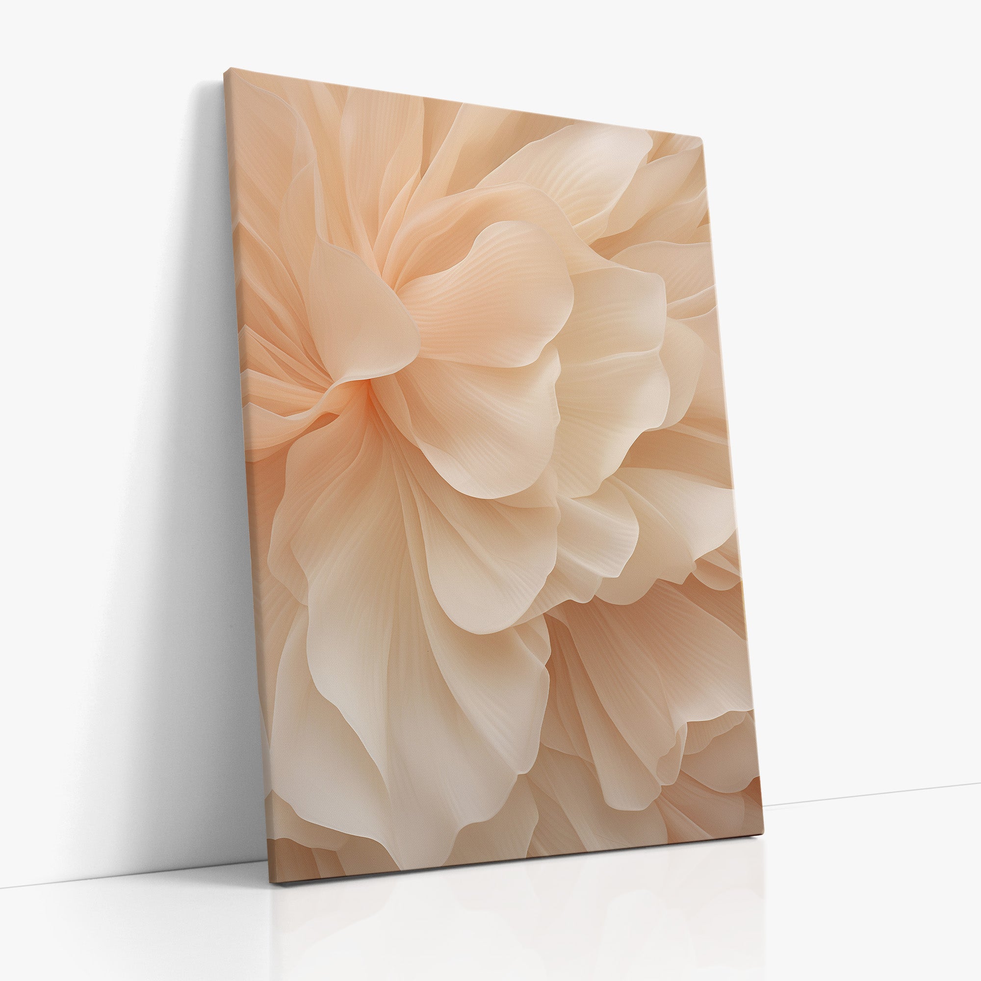 Voile de pivoine