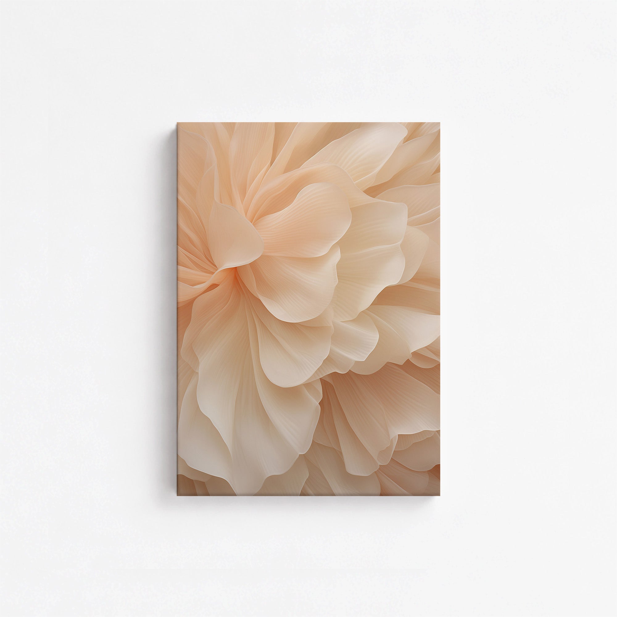 Voile de pivoine