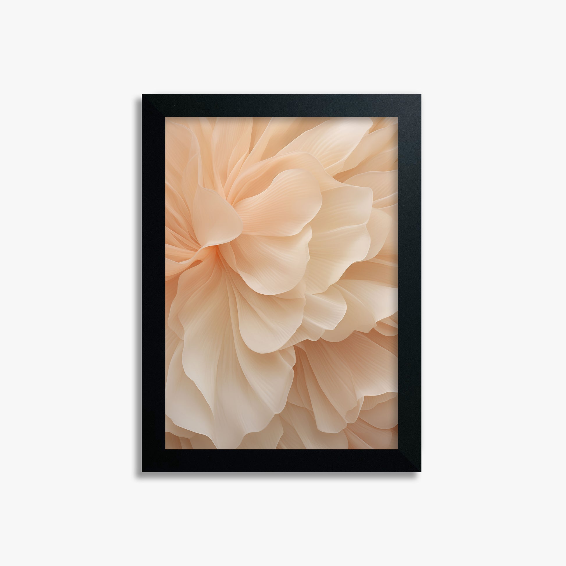 Peony Veil, 21x30cm Framed Poster With Black Frame