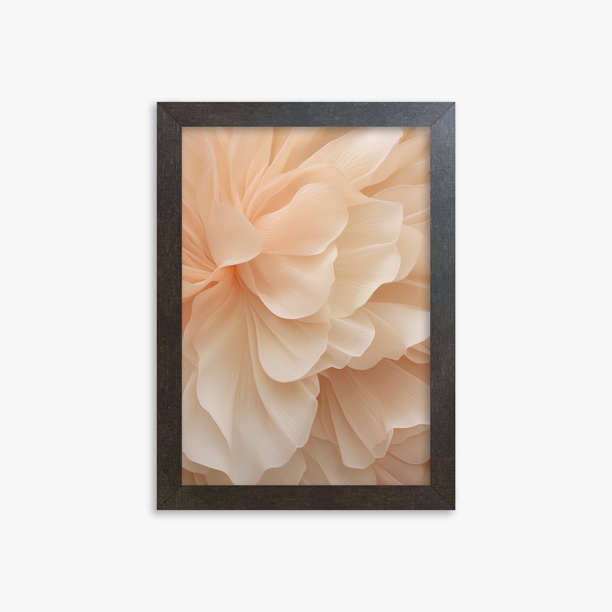 Peony Veil, 21x30cm Framed Art Reproduction With Espresso Frame