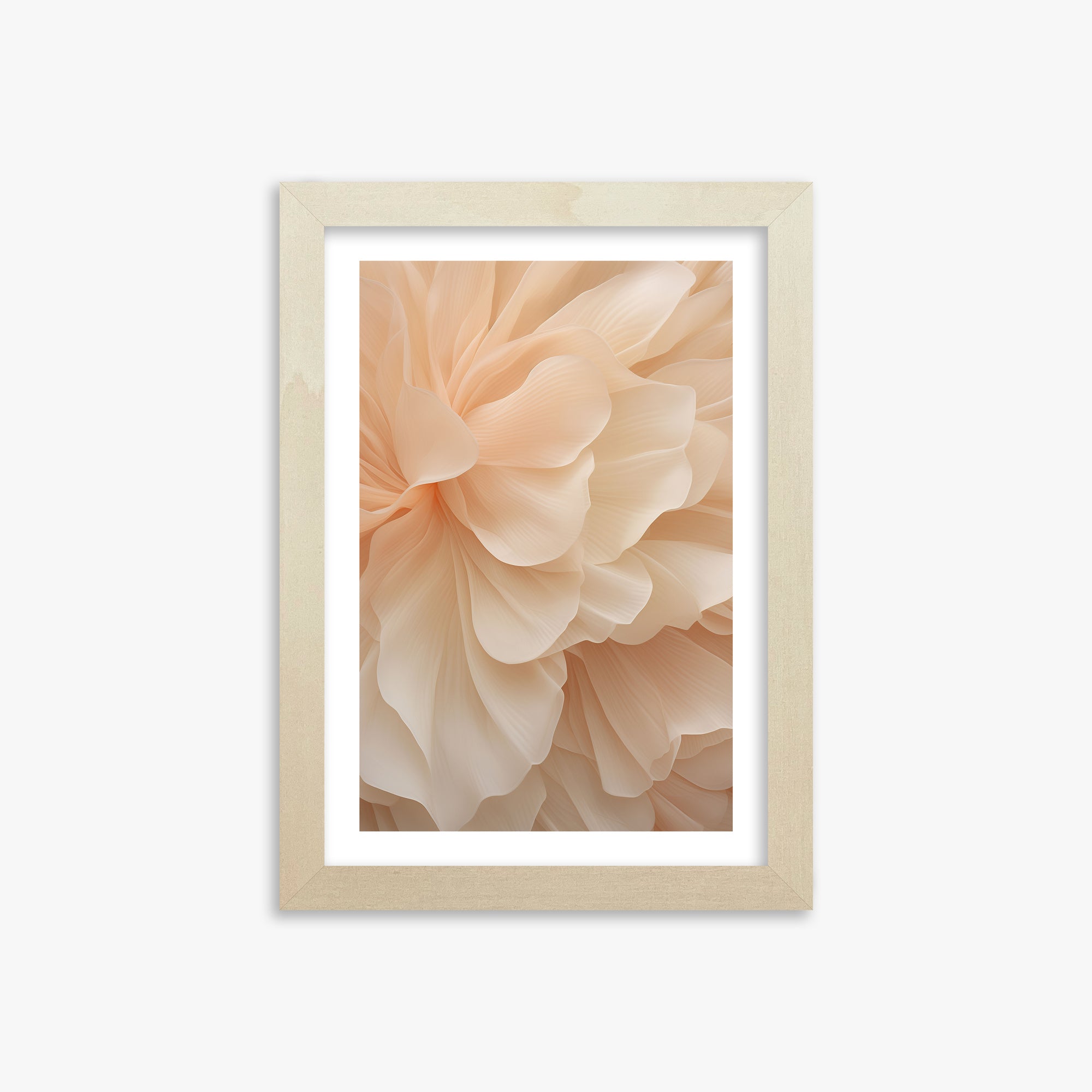 Peony Veil, 21x30cm Framed Art Reproduction With Lime Wood Frame