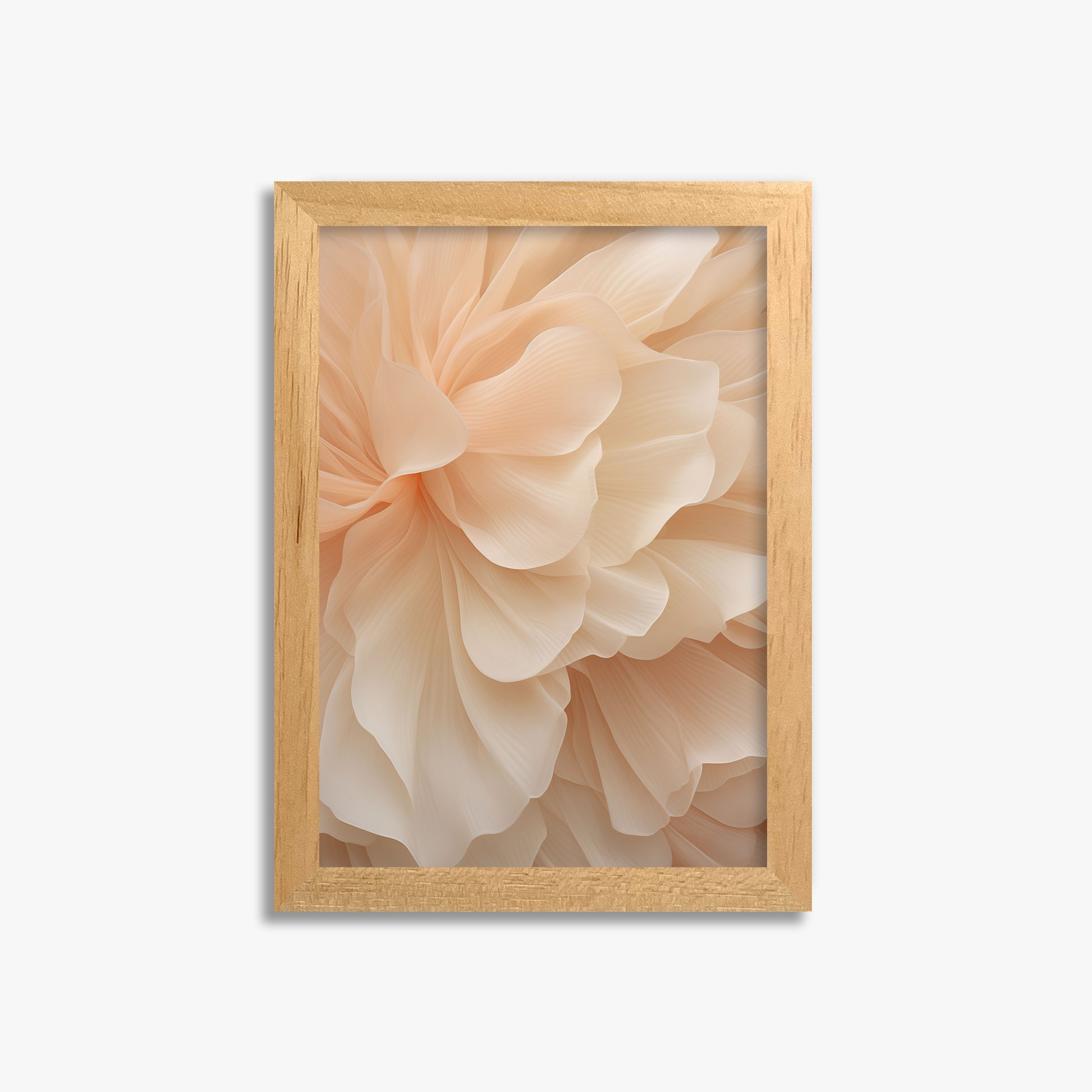 Peony Veil, 21x30cm Framed Poster With Oak Frame