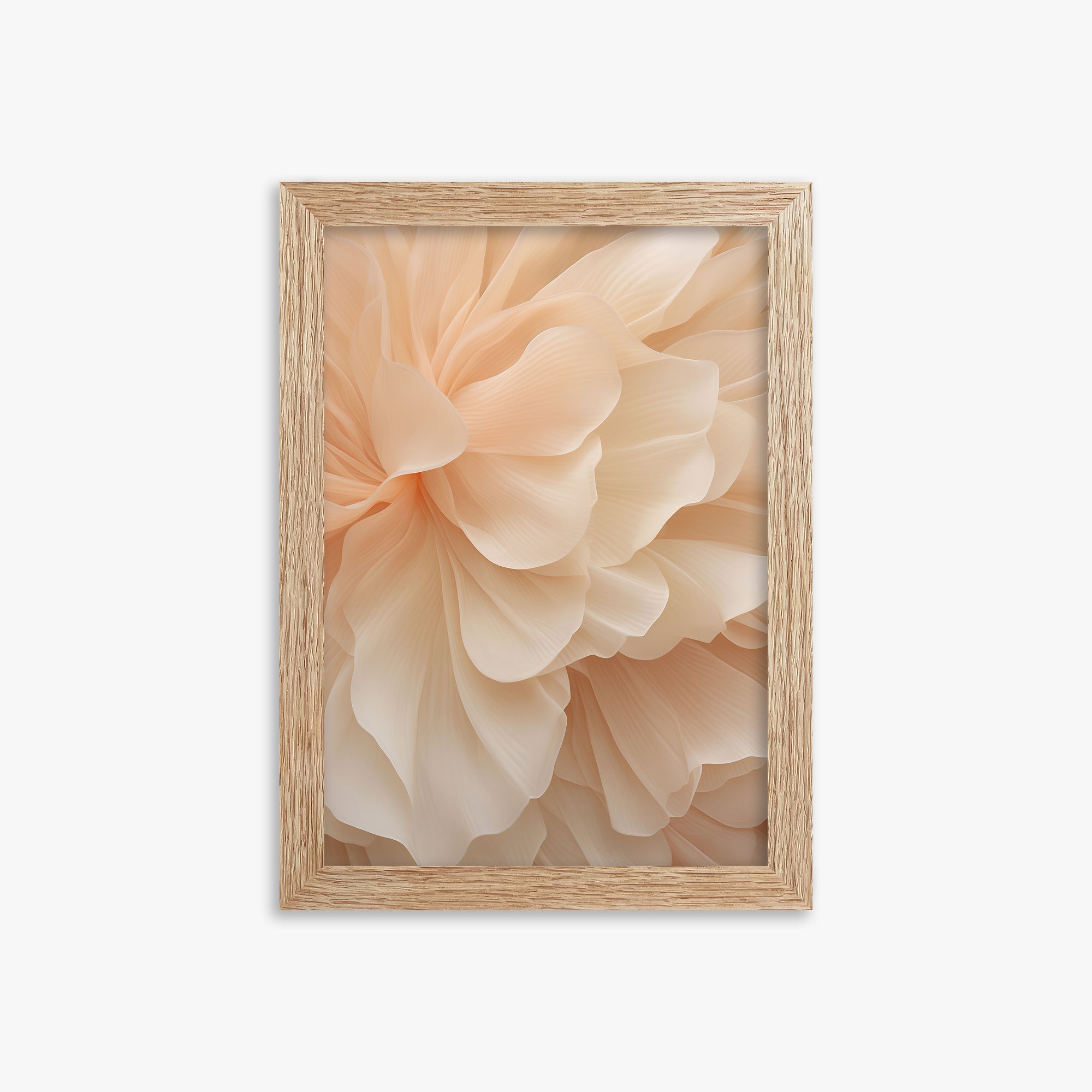 Peony Veil, 21x30cm Framed Art Reproduction With Raw Oak Frame