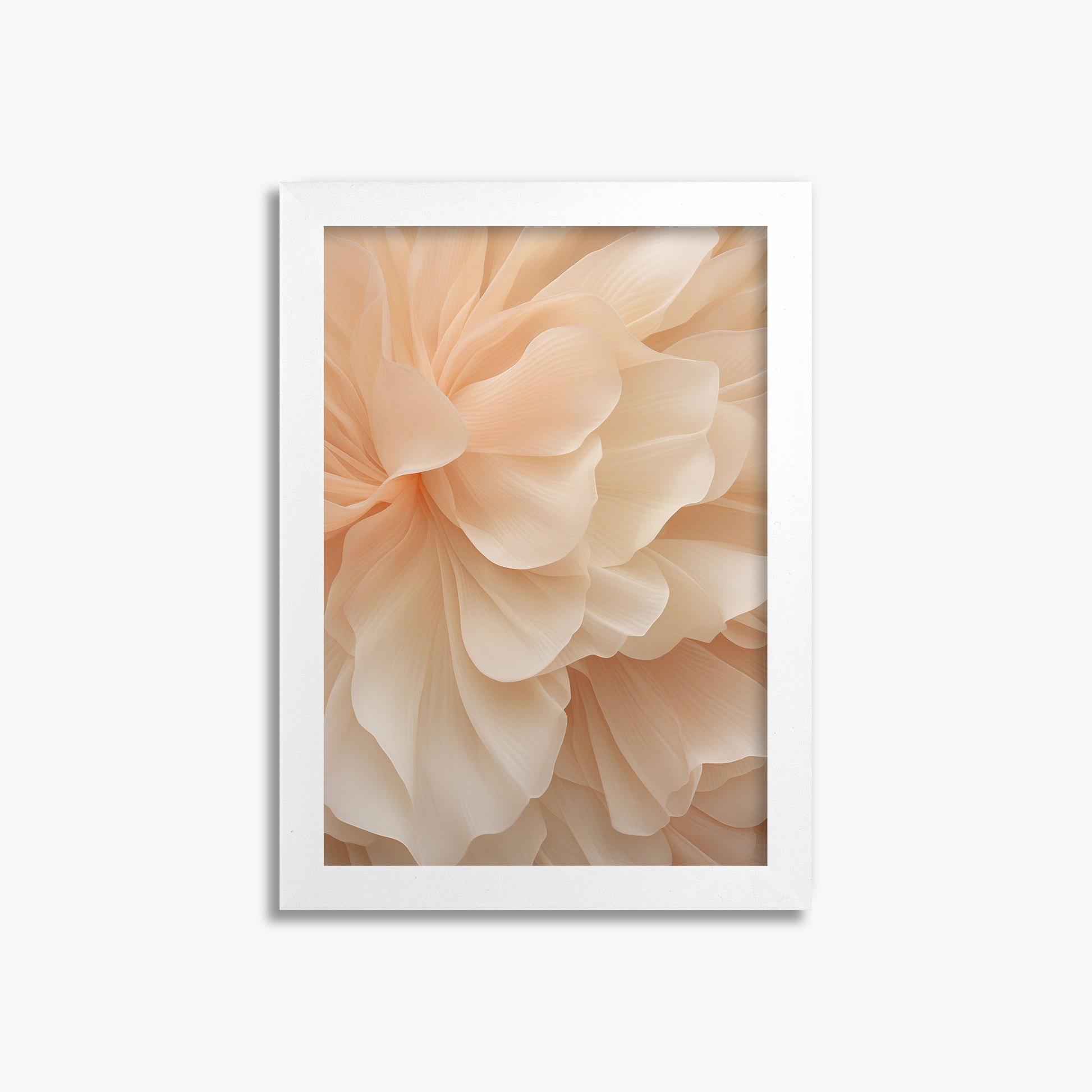 Peony Veil, 21x30cm Framed Poster With White Frame