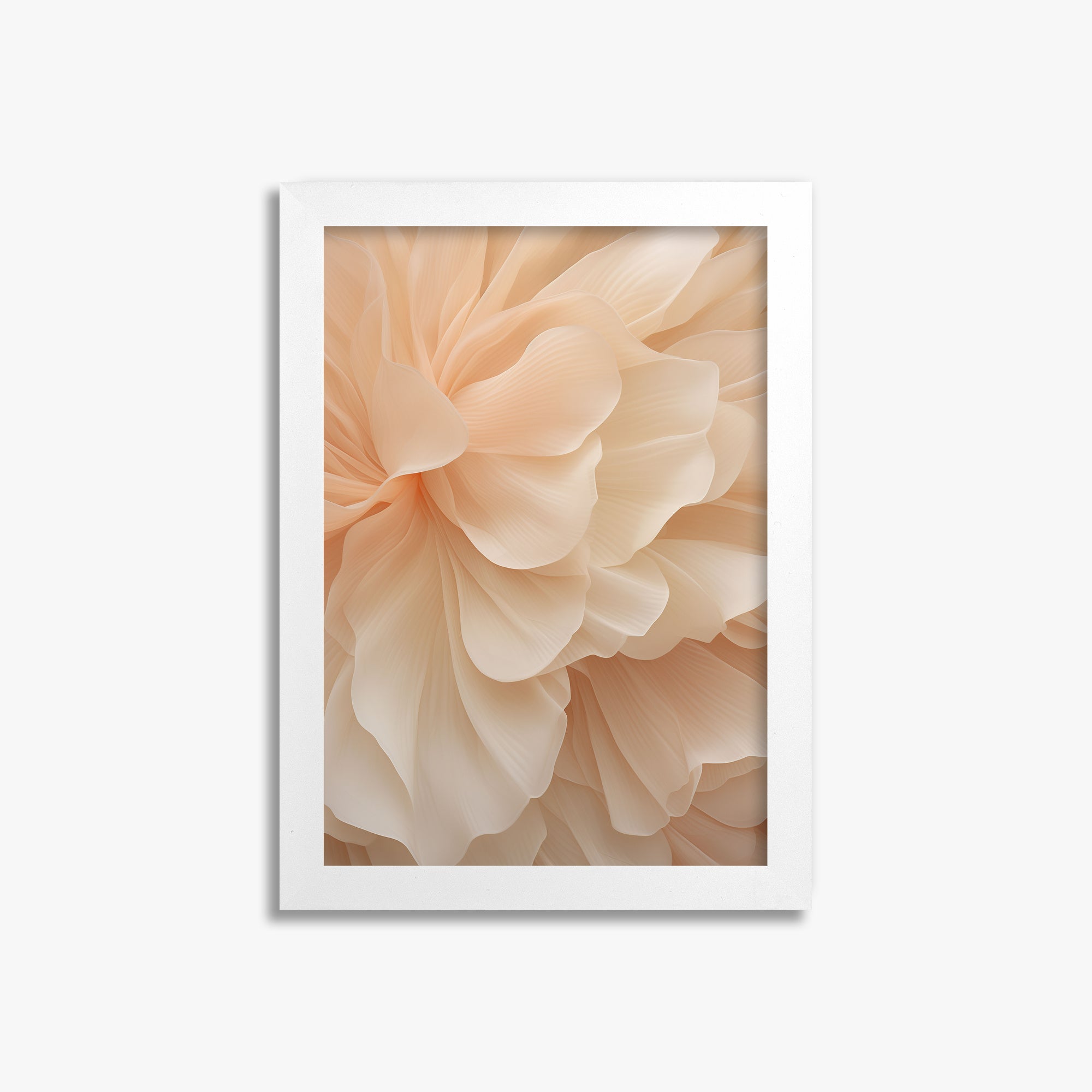 Peony Veil, 21x30cm Framed Poster With White Frame
